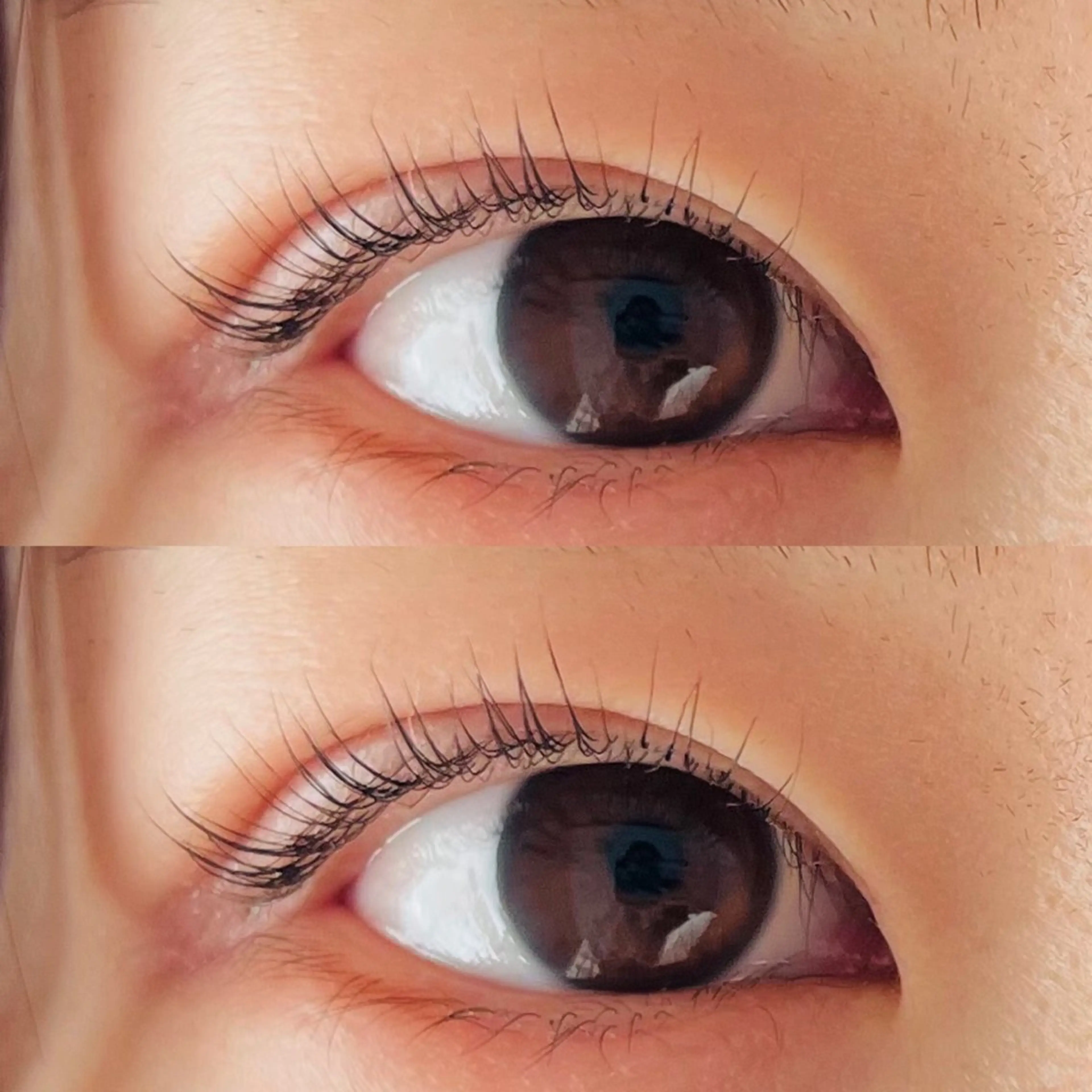 マツエク・マツパ HERA 【ヘラ】のマツエク・マツパデザイン