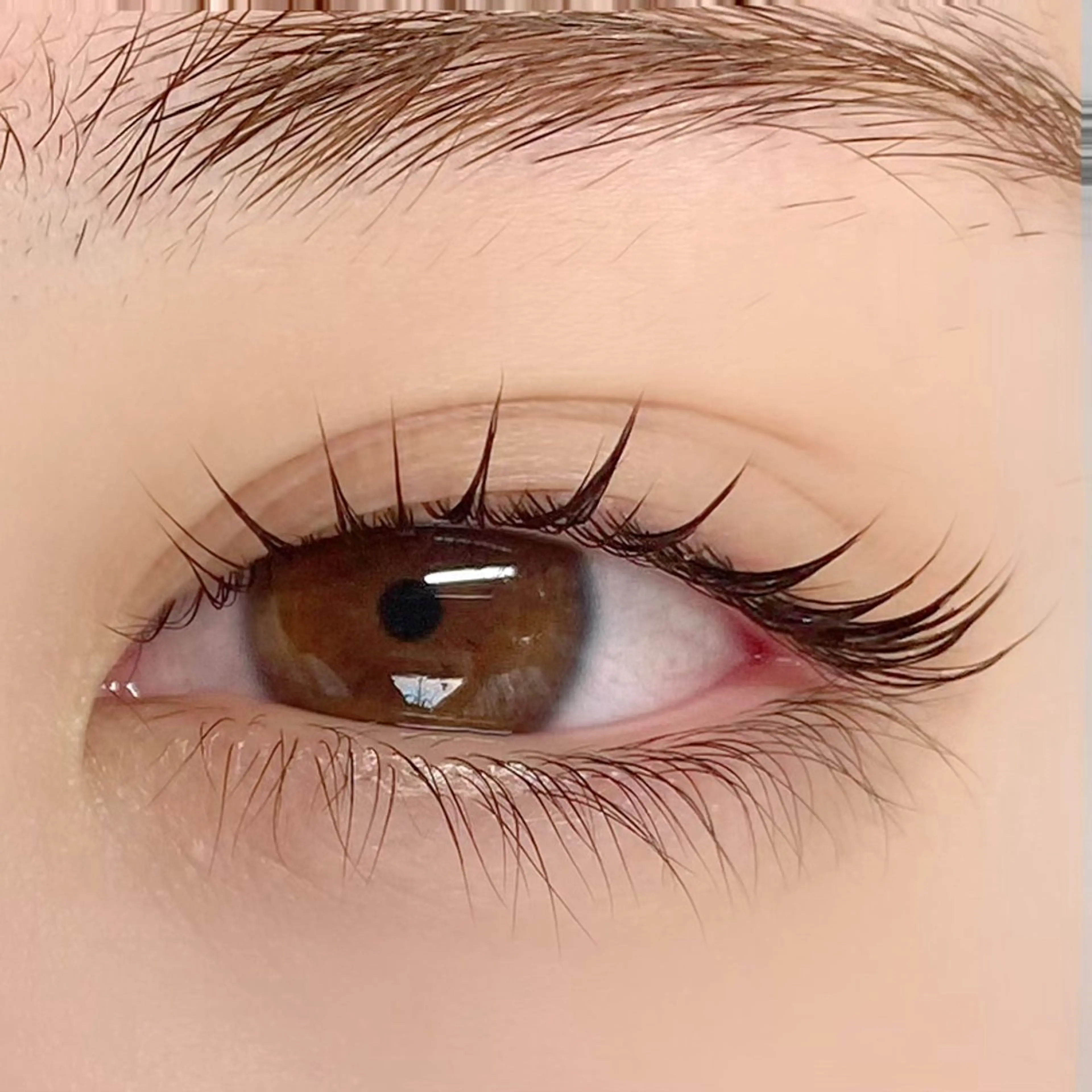 マツエク・マツパ Butterfly 有薗の眉毛・アイブロウイメージ