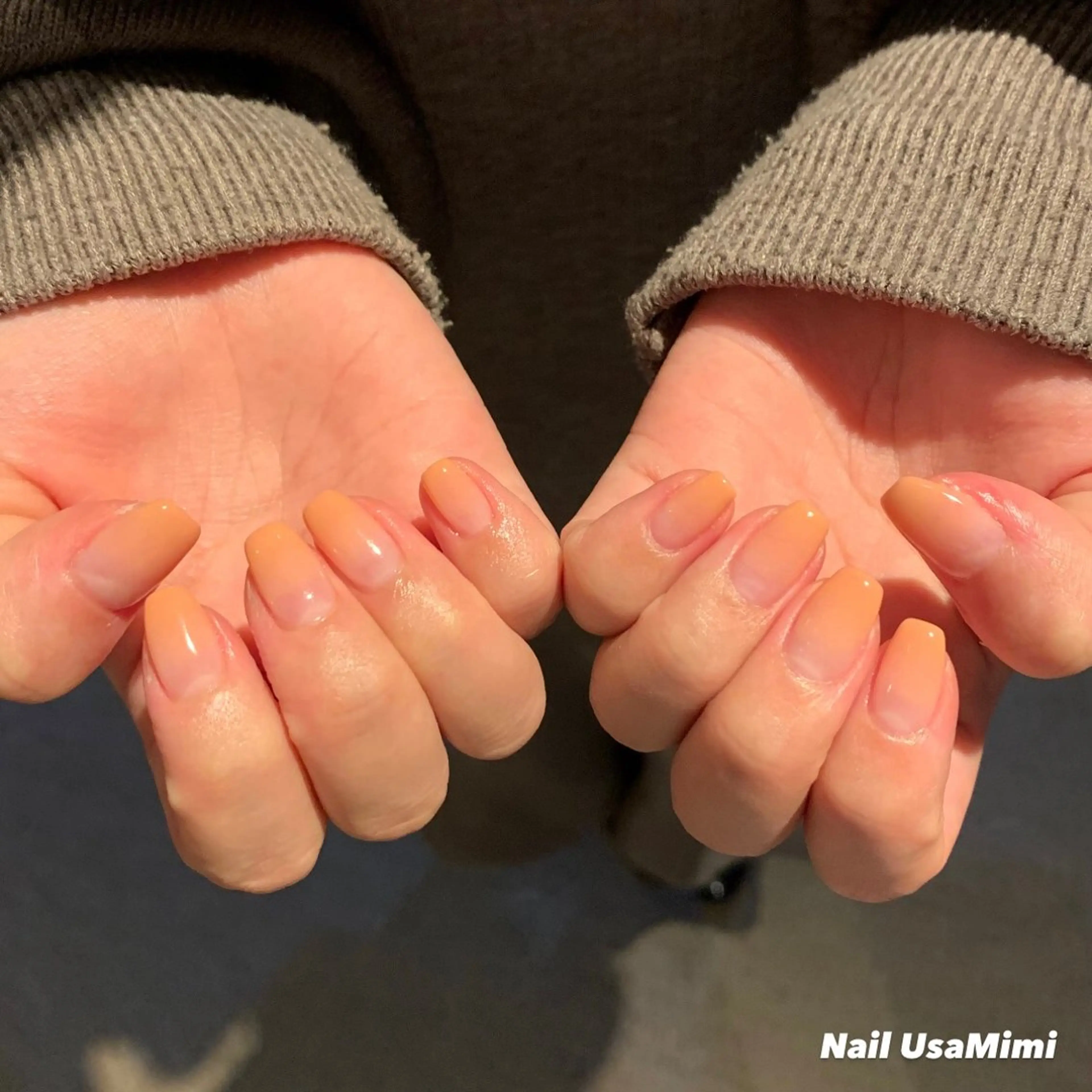 ネイル ジェルネイル マグネットネイル 持ち込み ワンカラーネイル パラジェル 本町ネイルNail UsaMimiのネイルデザイン