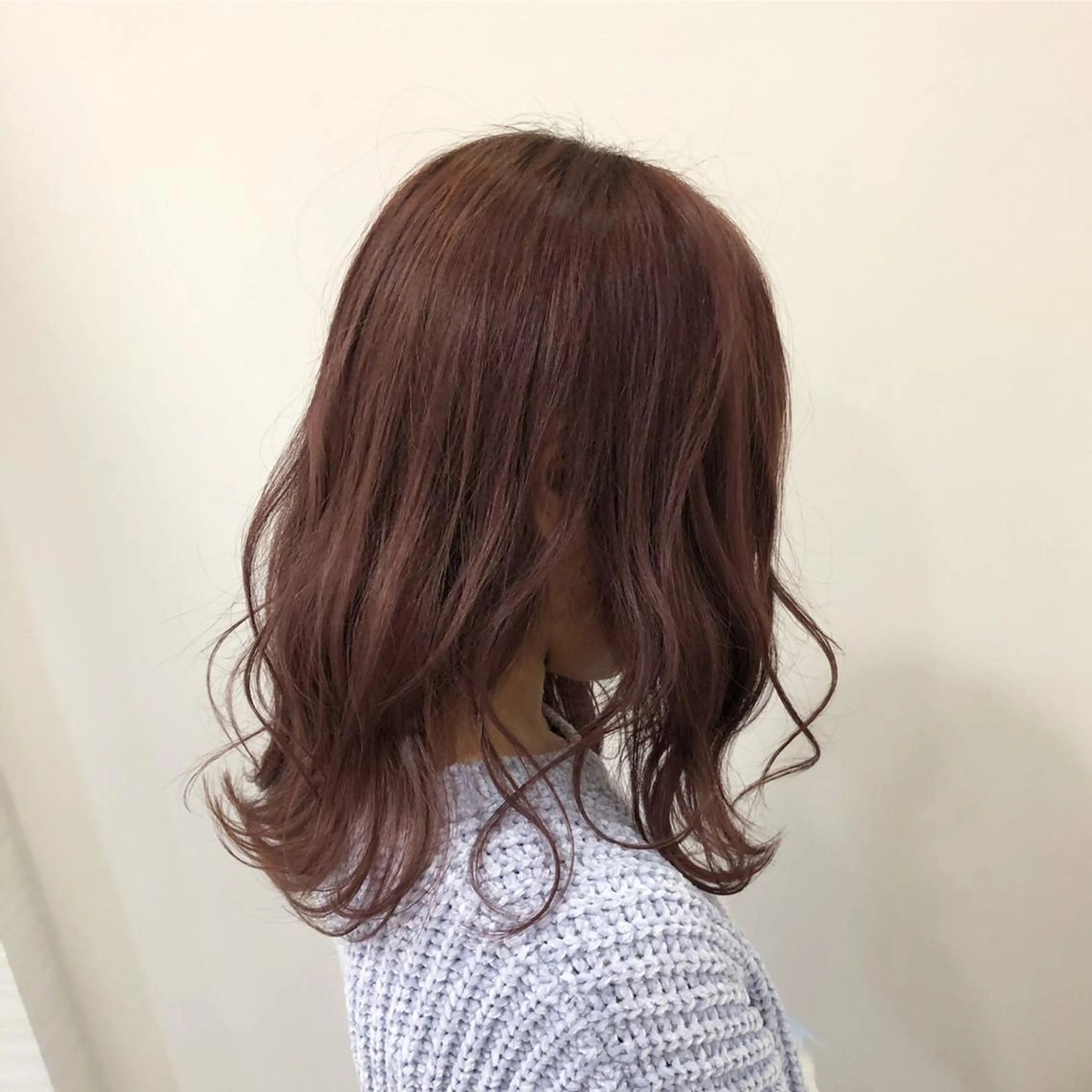 営業終わり19時以降限定価格　ワンカラーの写真