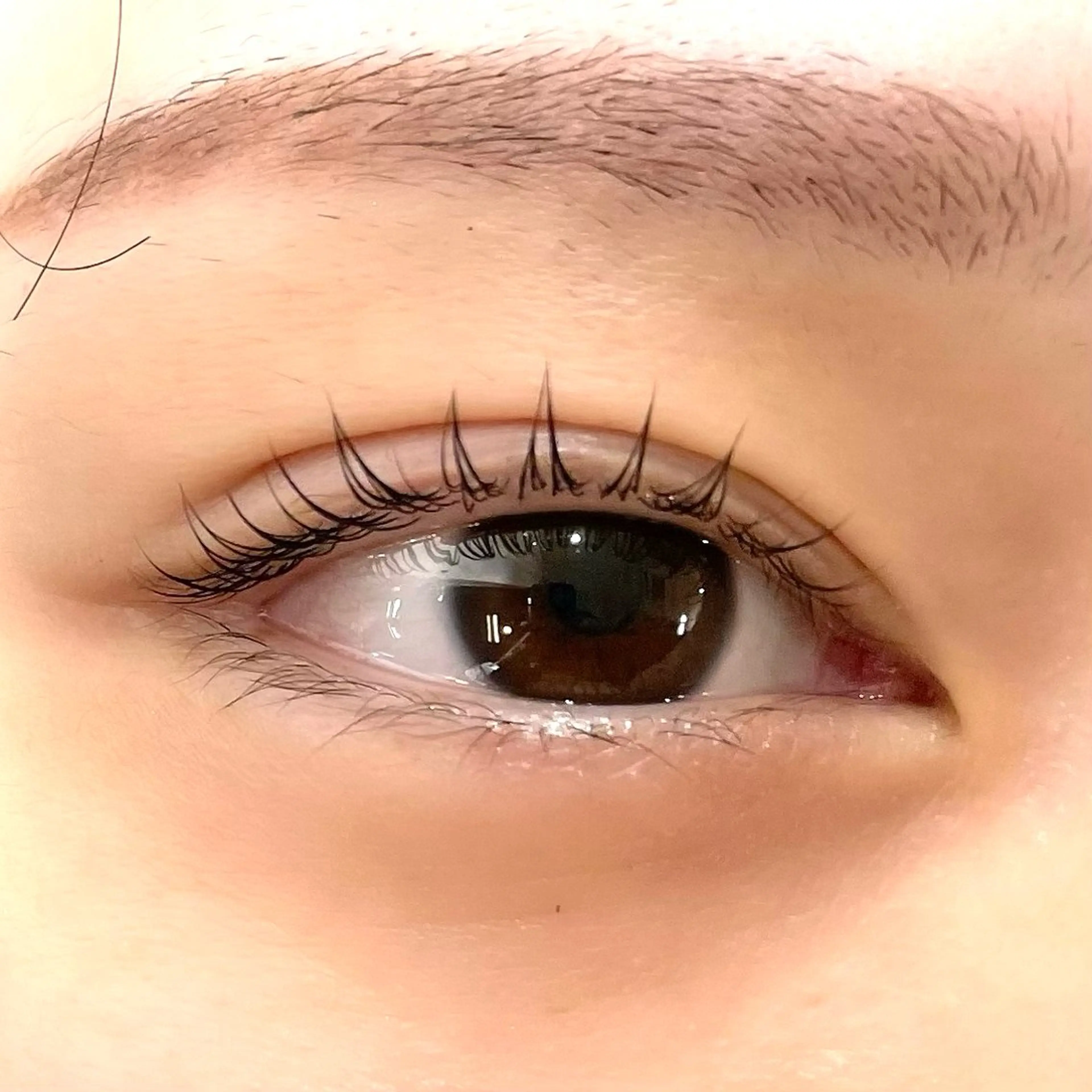 マツエク・マツパ eL 田中のマツエク・マツパデザイン