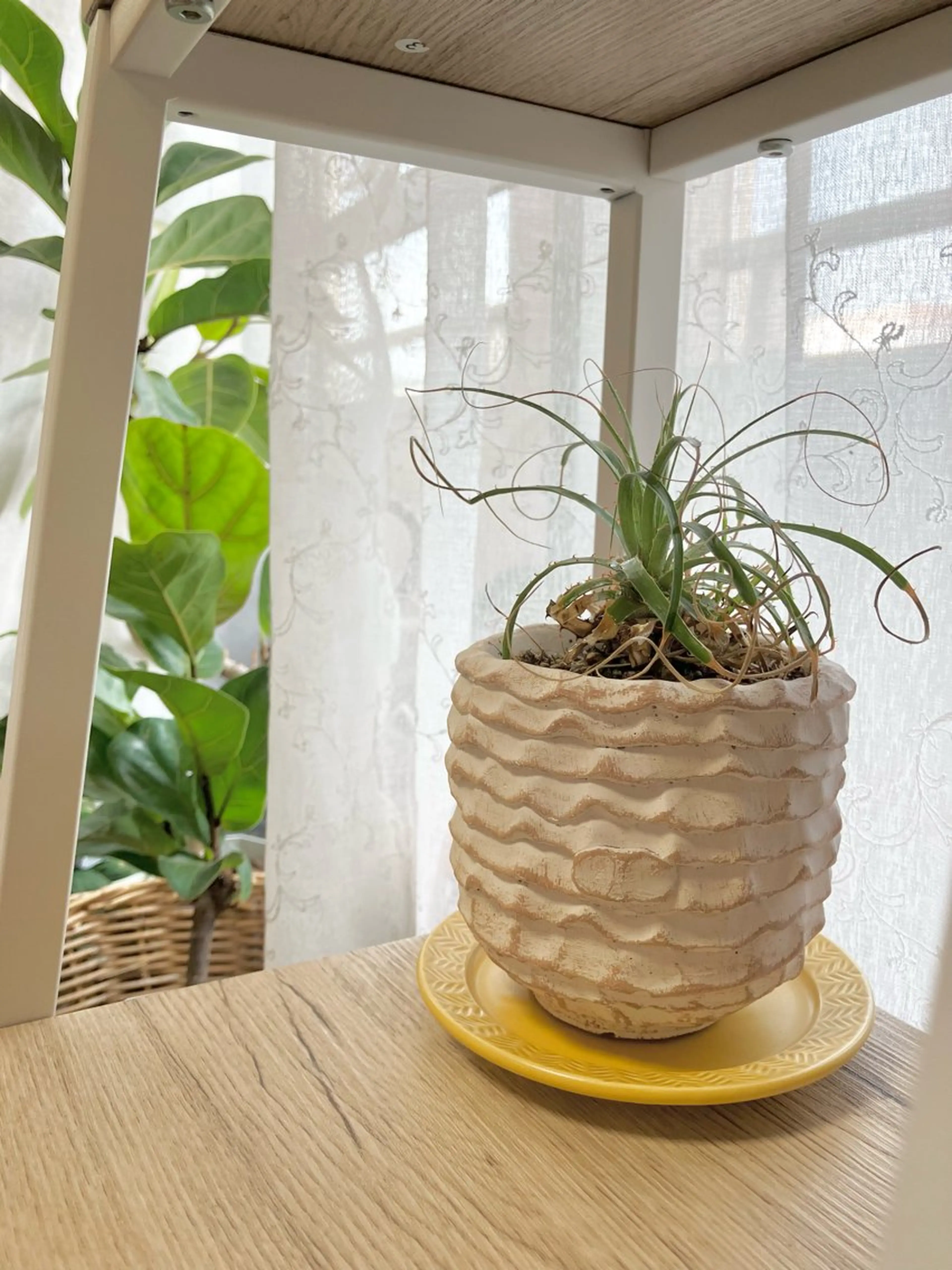 salon&yoga mallikaのエステ・リラクイメージ