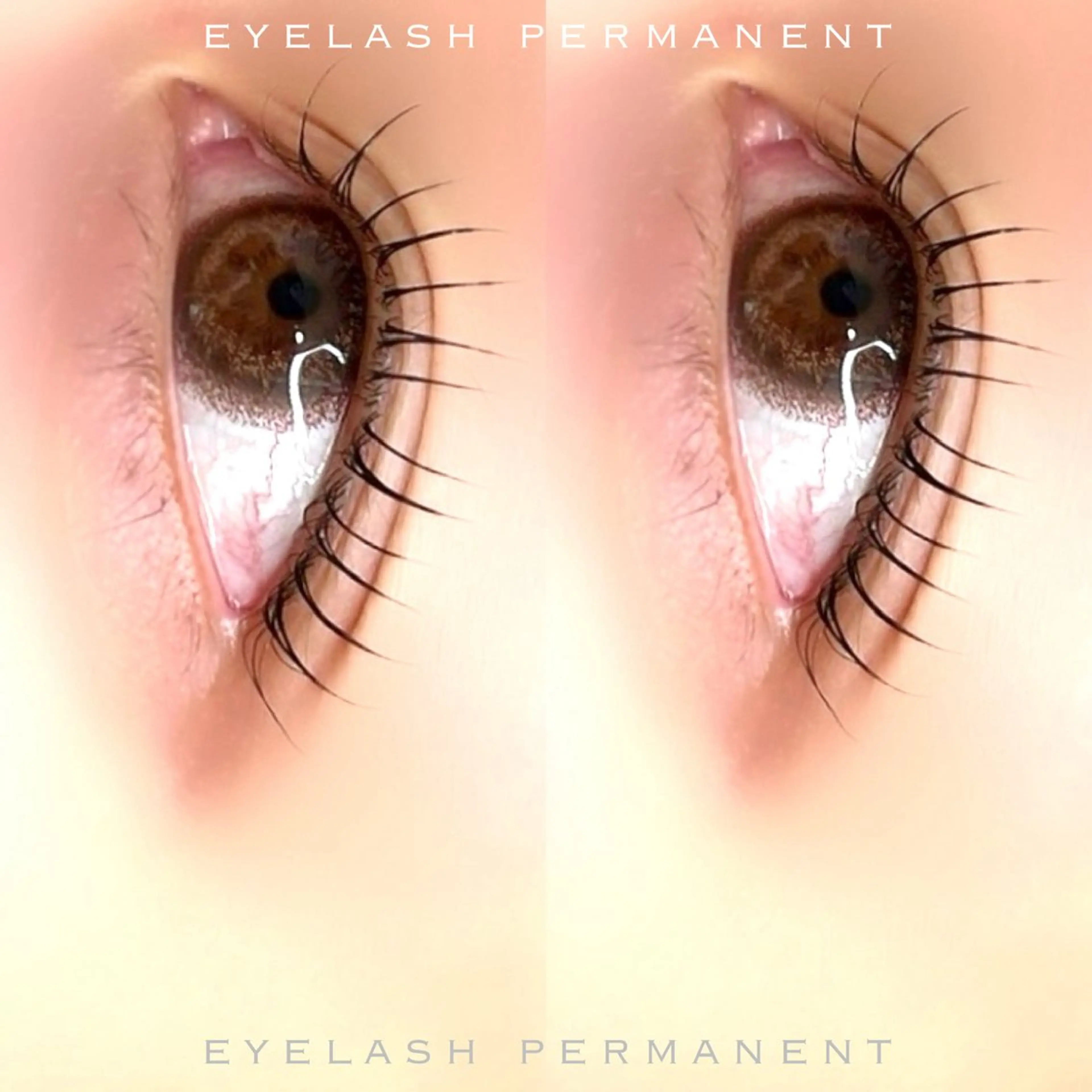 マツエク・マツパ マツパ 981 KURUMIのマツエク・マツパデザイン