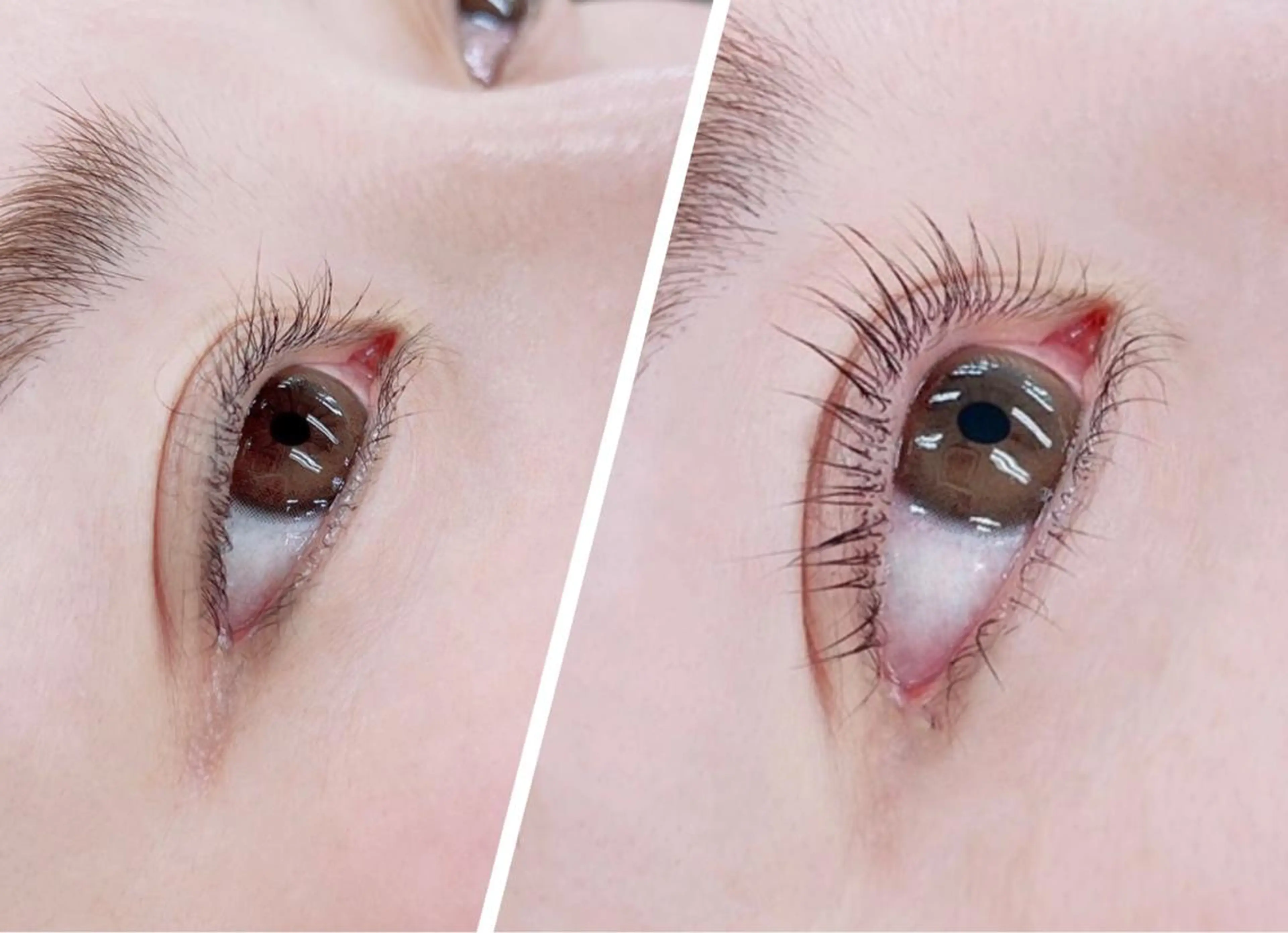 【12月以降リピーター様】まつ毛パーマ☆パリジェンヌのようなぱっちり目元に！5,610円の写真