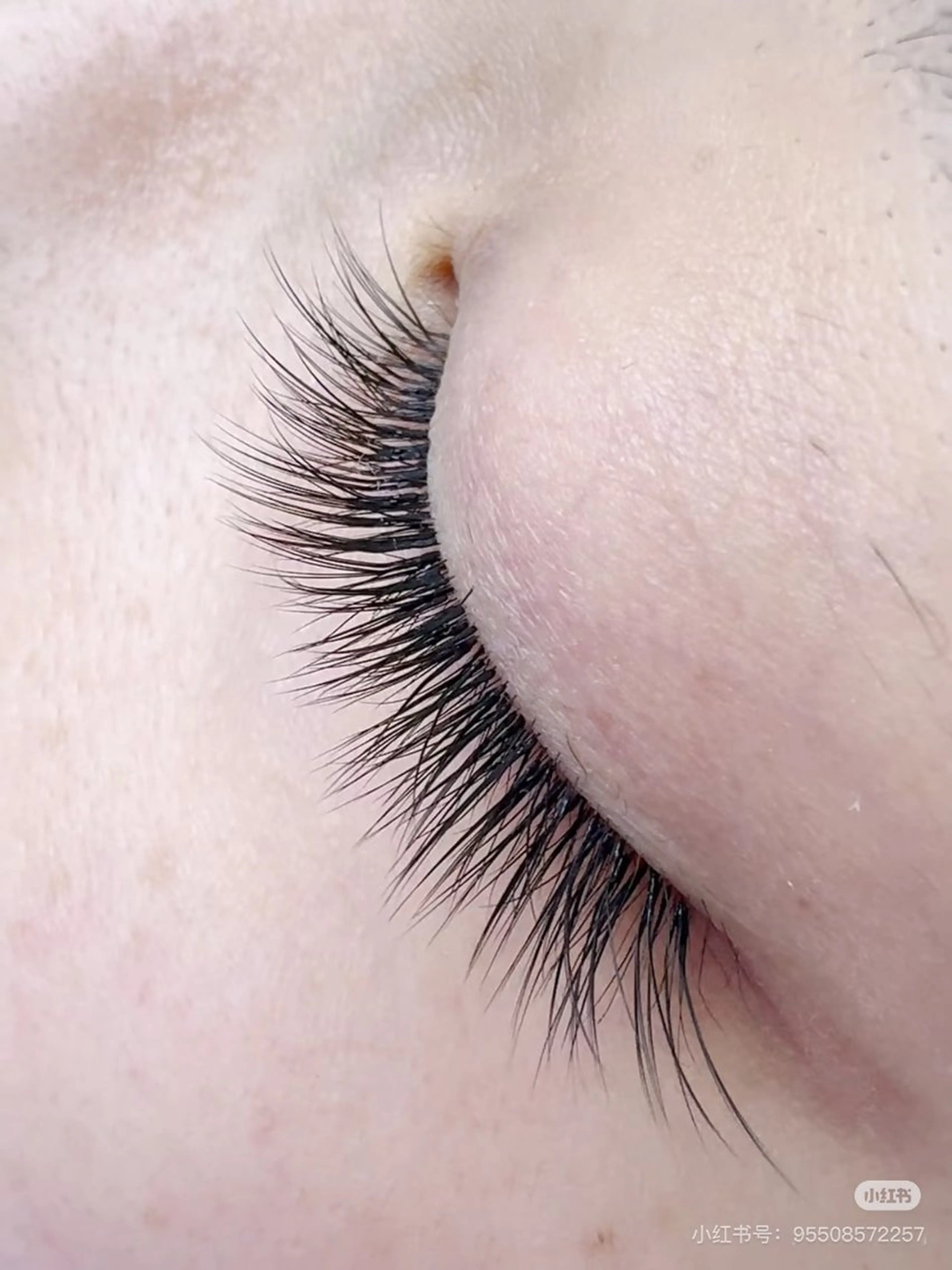 フラットラッシュ100本（オフあり）✨LED変更可能◎(＋1000円)の写真