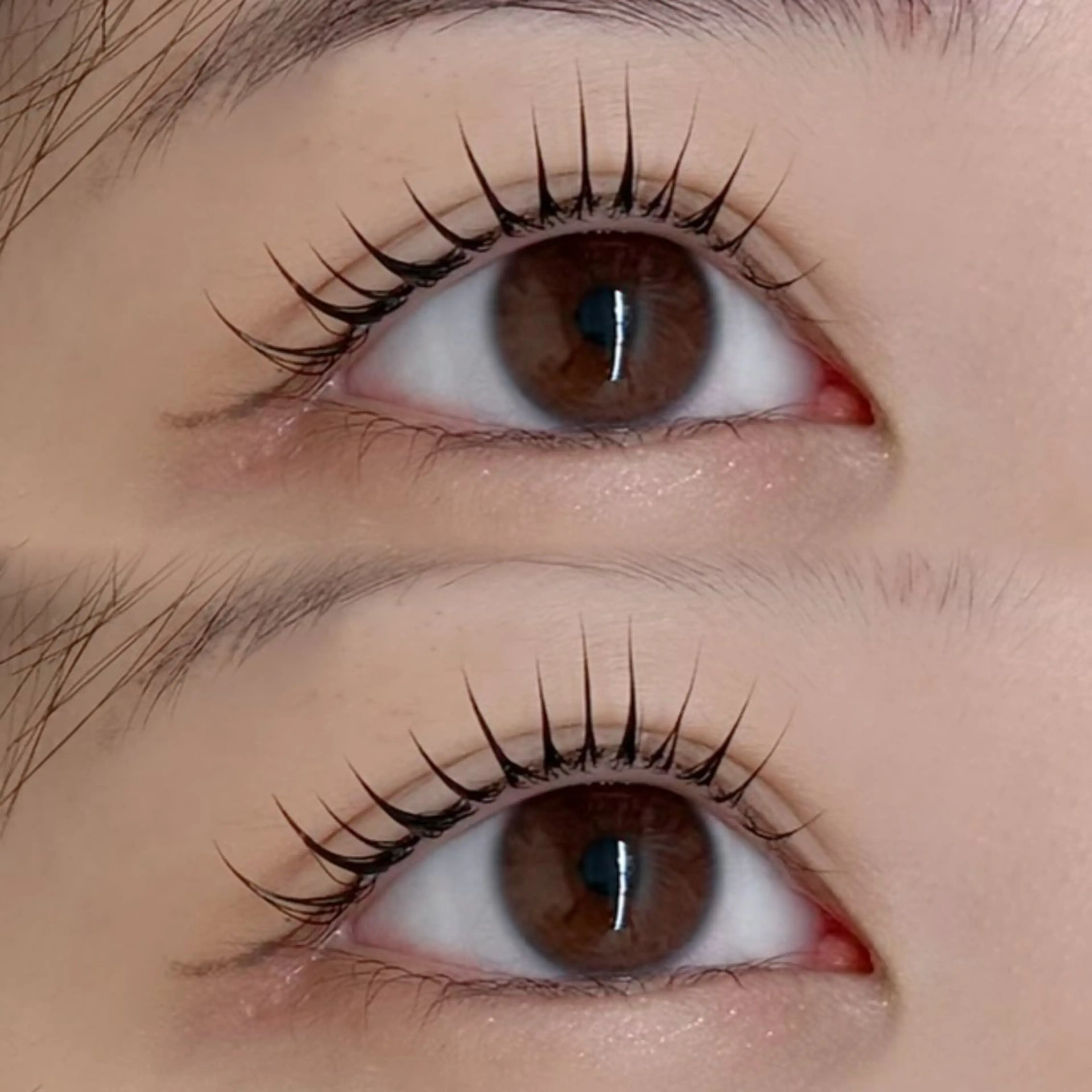 マツエク・マツパ マツパ 南浦和 yuno🐱のマツエク・マツパデザイン