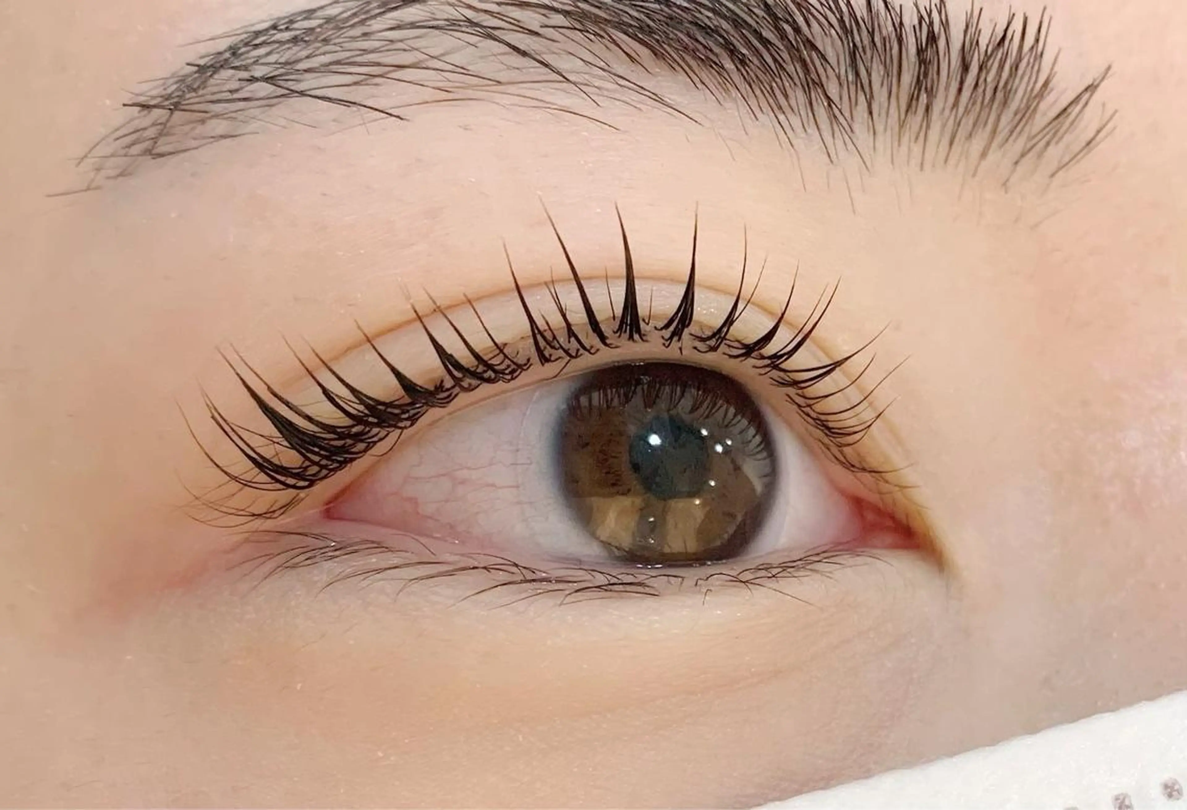 マツエク・マツパ パリジェンヌラッシュリフト マツパ maru◎maru所属・maru◎ maruのマツエク・マツパデザイン