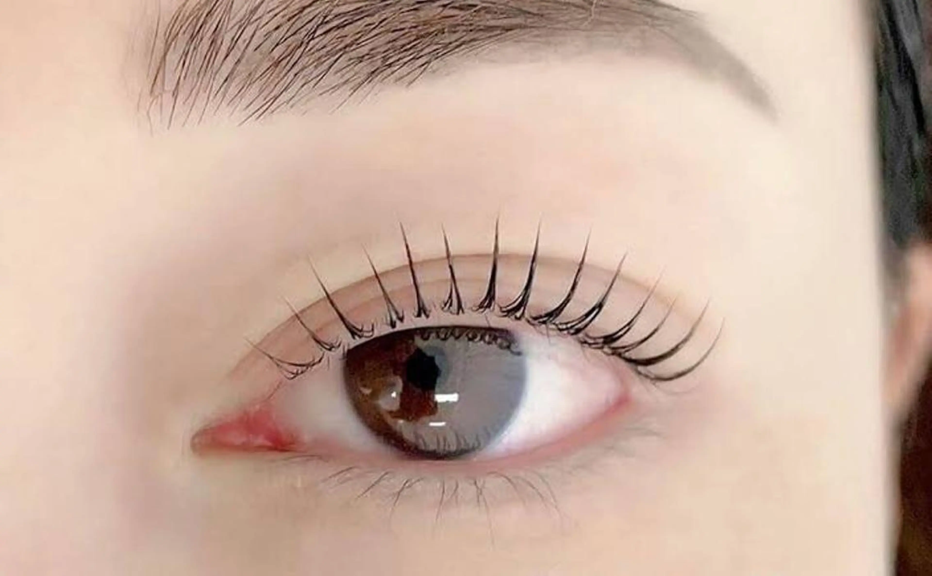 マツエク・マツパ 天王寺徒歩5分🐾ま つ毛専門🐾yukiのマツエク・マツパデザイン