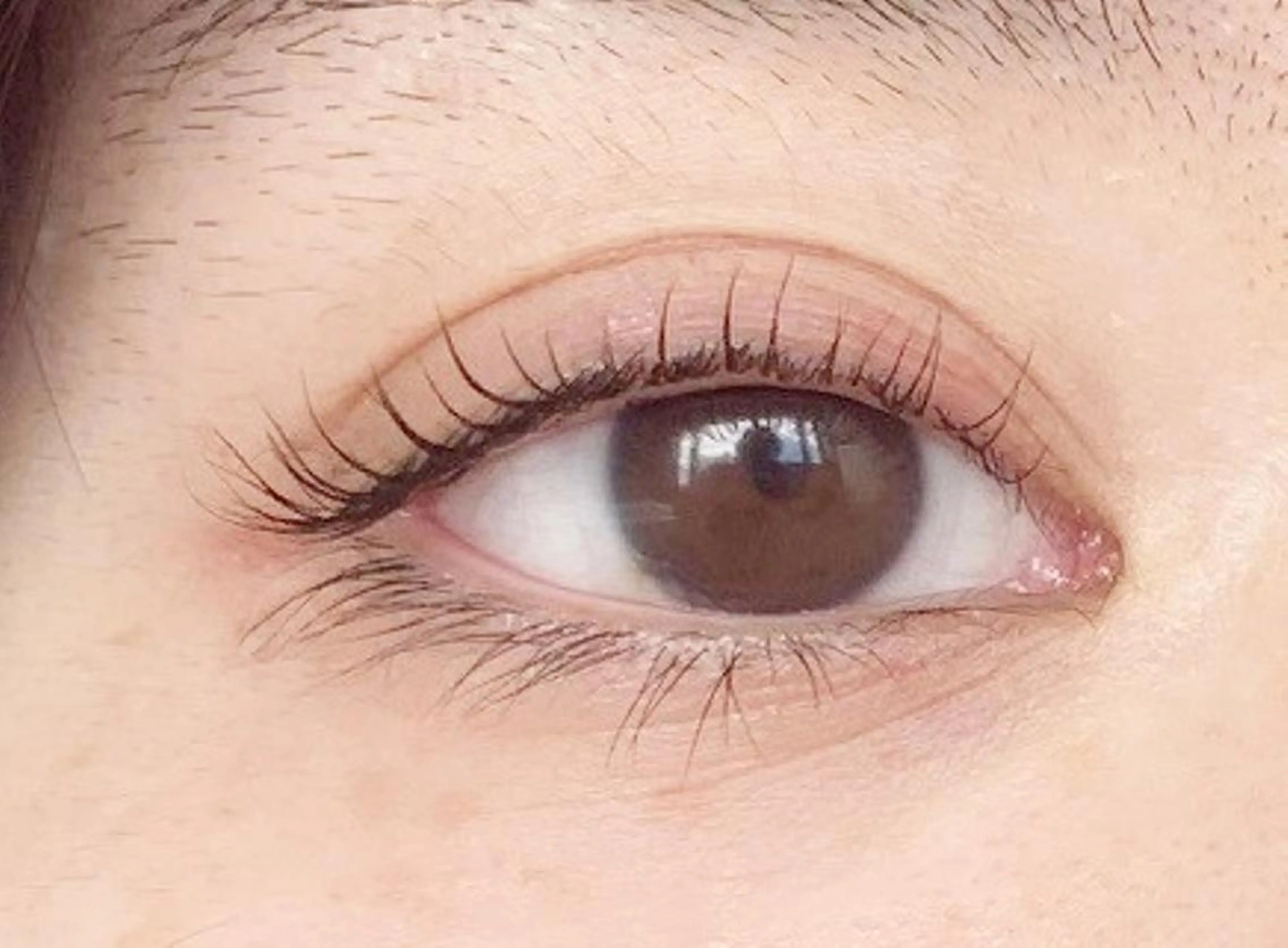 初回限定！まつ毛カールお試し価格☆の写真