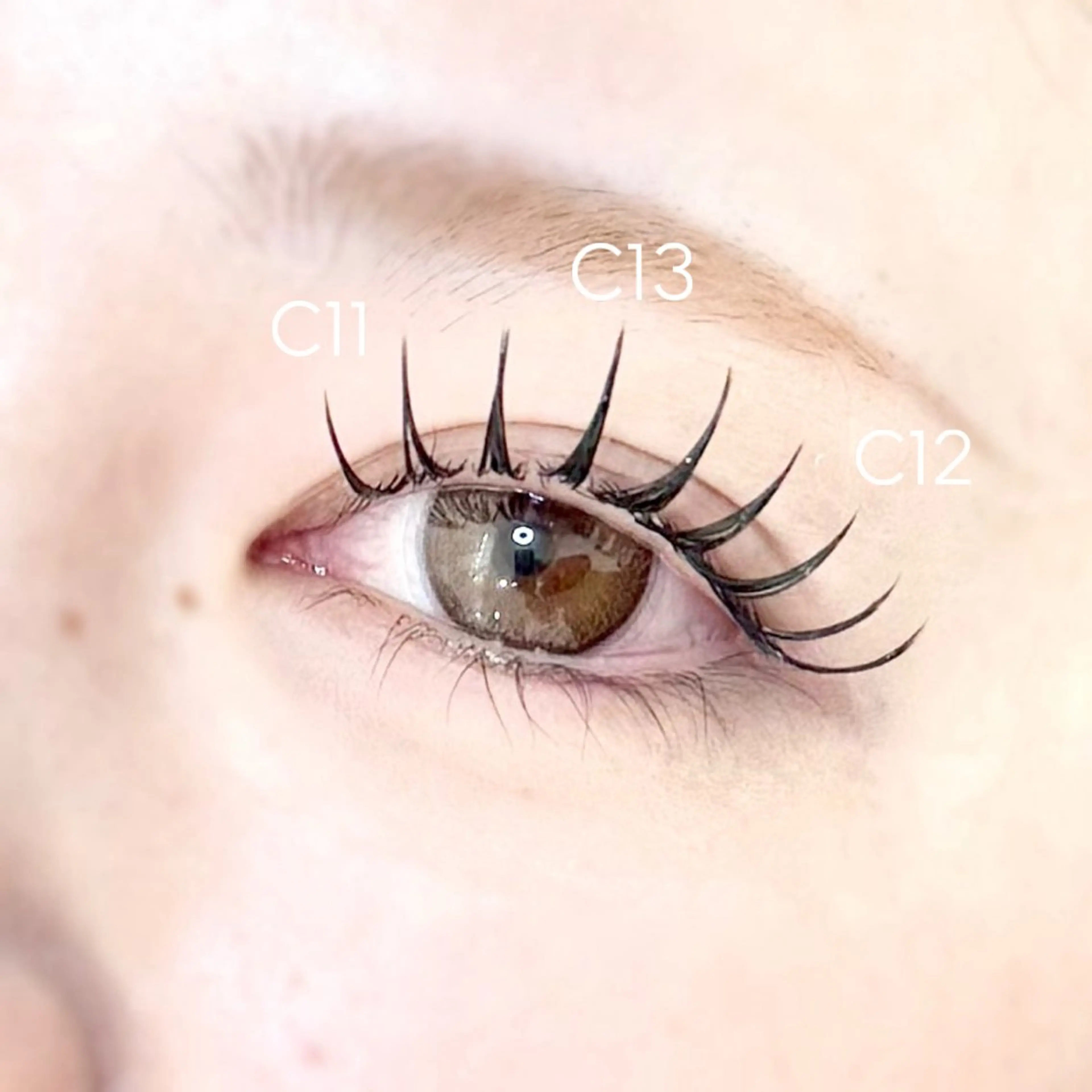 マツエク・マツパ マツエク 🌸Alba🌸 勅使川原のマツエク・マツパデザイン