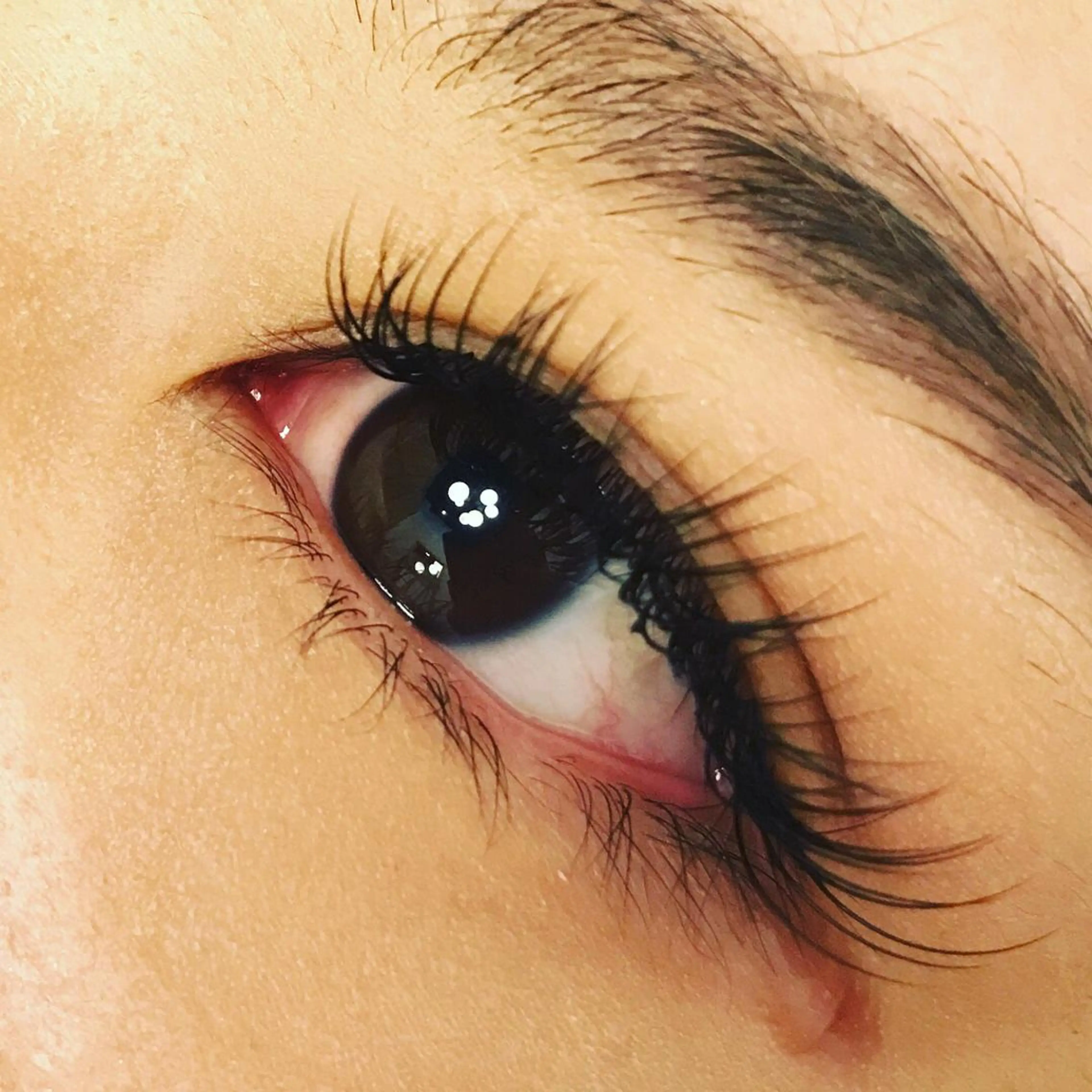 ☆フラットラッシュ☆100本☆ ＋￥1500でダブルフラットに変更可。の写真