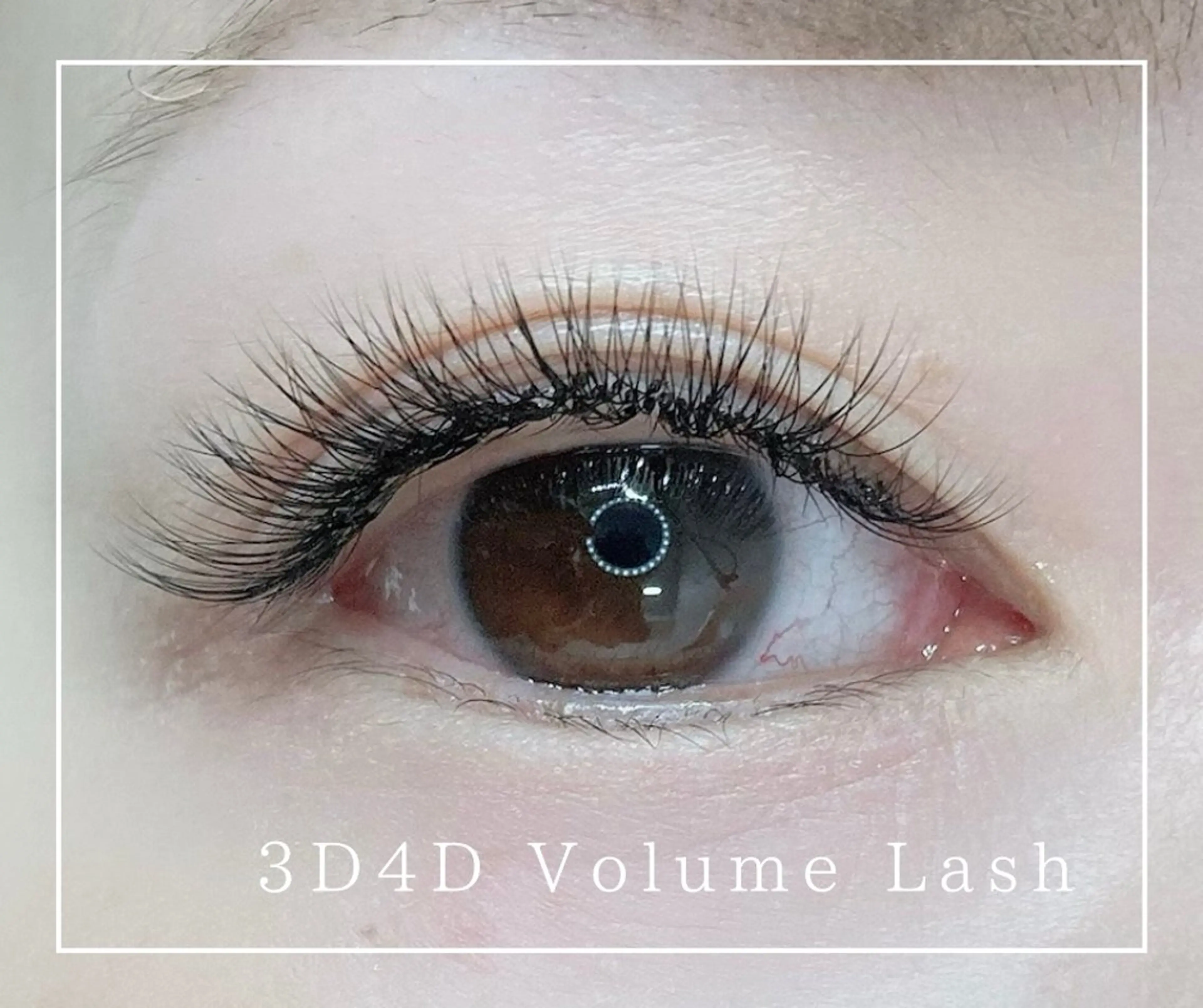 ボリュームラッシュ　× LEDエクステ 80束　¥5000の写真