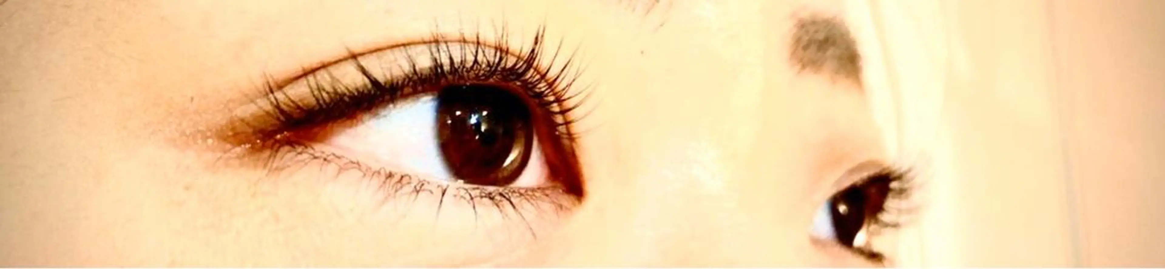 マツエク・マツパ La moda. 二子玉川店のマツエク・マツパデザイン