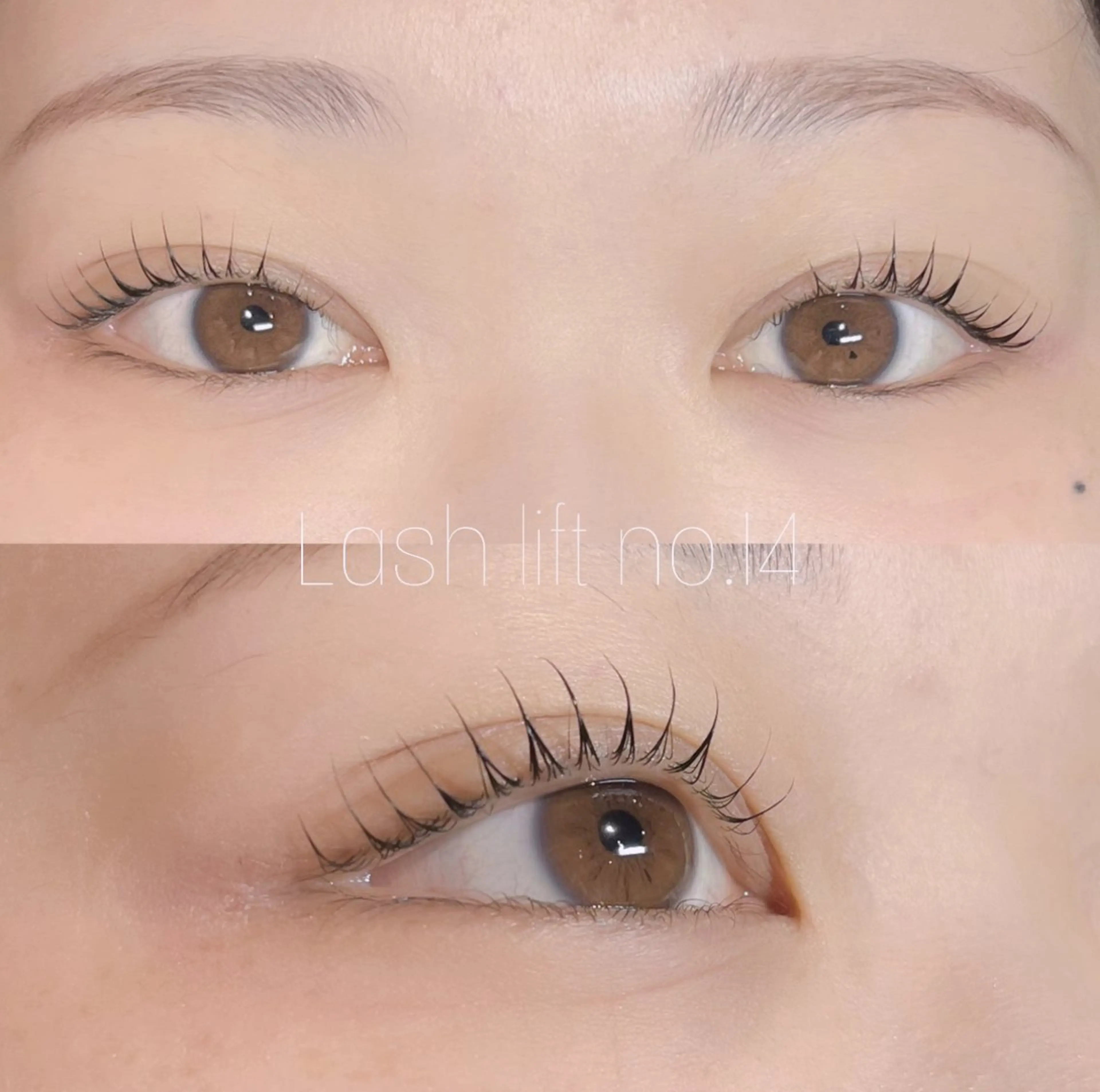 【日付限定割】🪽パリジェンヌor似合わせラッシュリフト🎼.•*¨ ⚠️ご予約前に必ず注意事項をお読みください!の写真