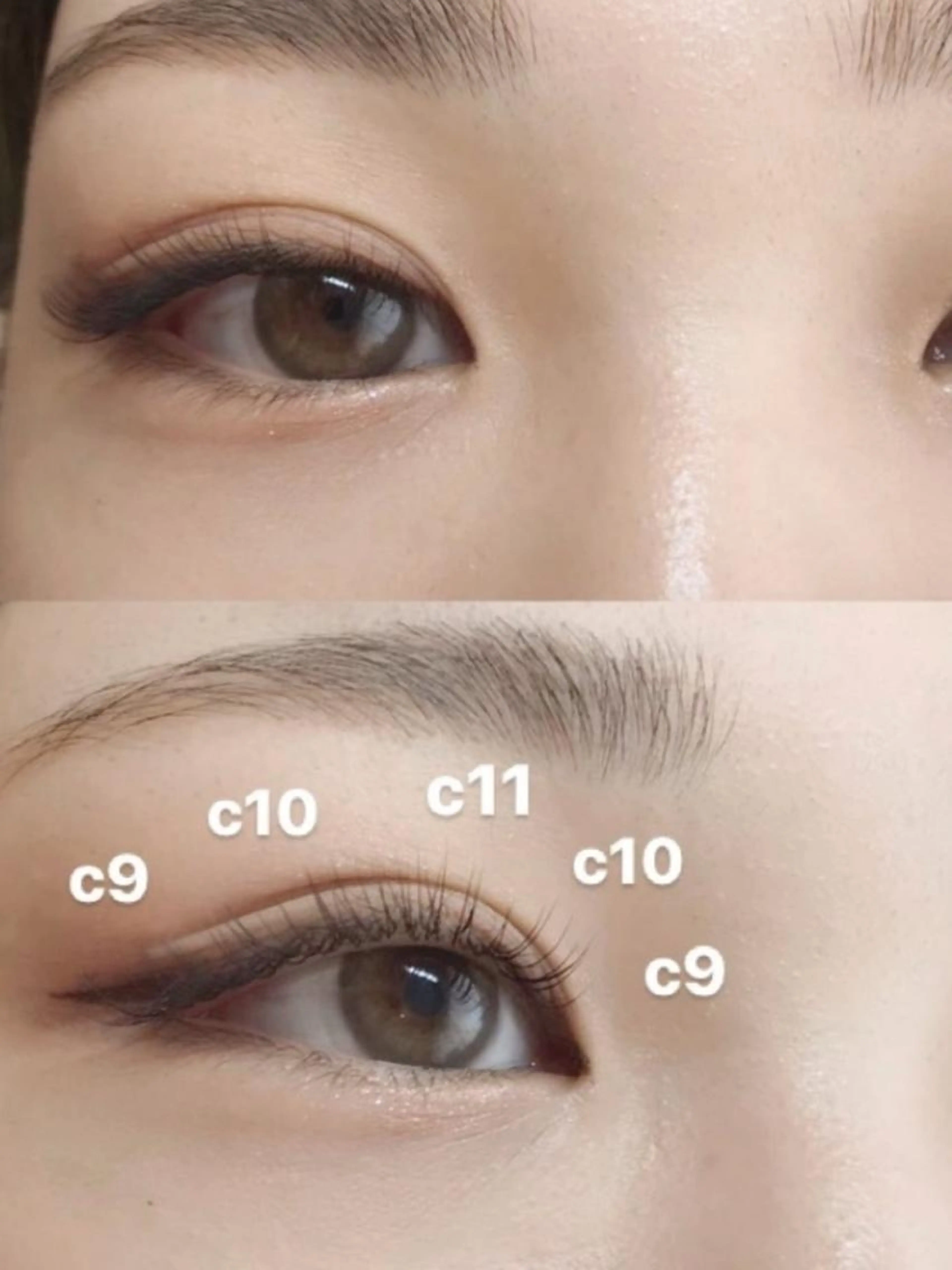 抗菌セーブル80本（時間本数内追加可能です）の写真