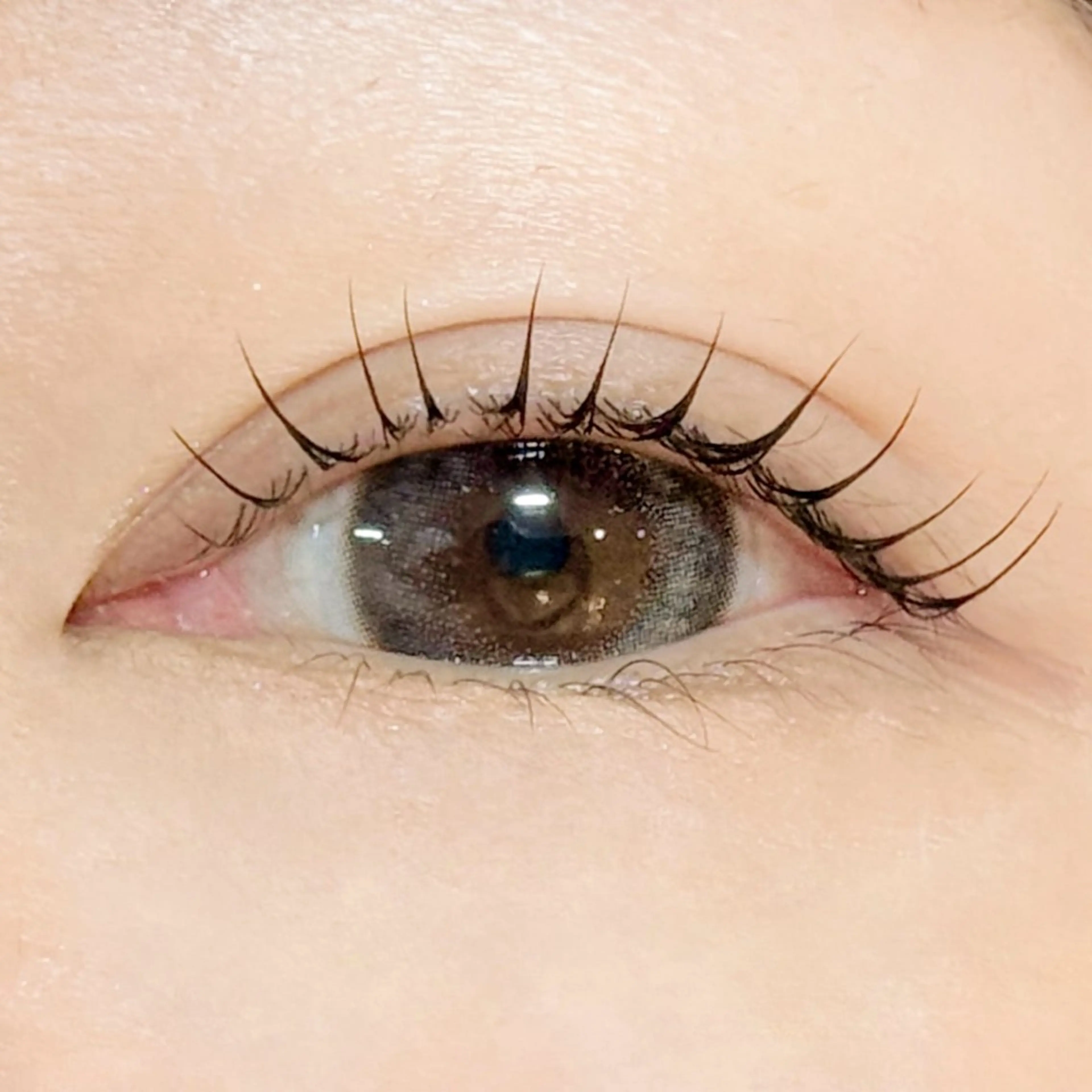 4月限定🫧選べるラッシュリフト(パリジェンヌorケラチンラッシュリフト)の写真