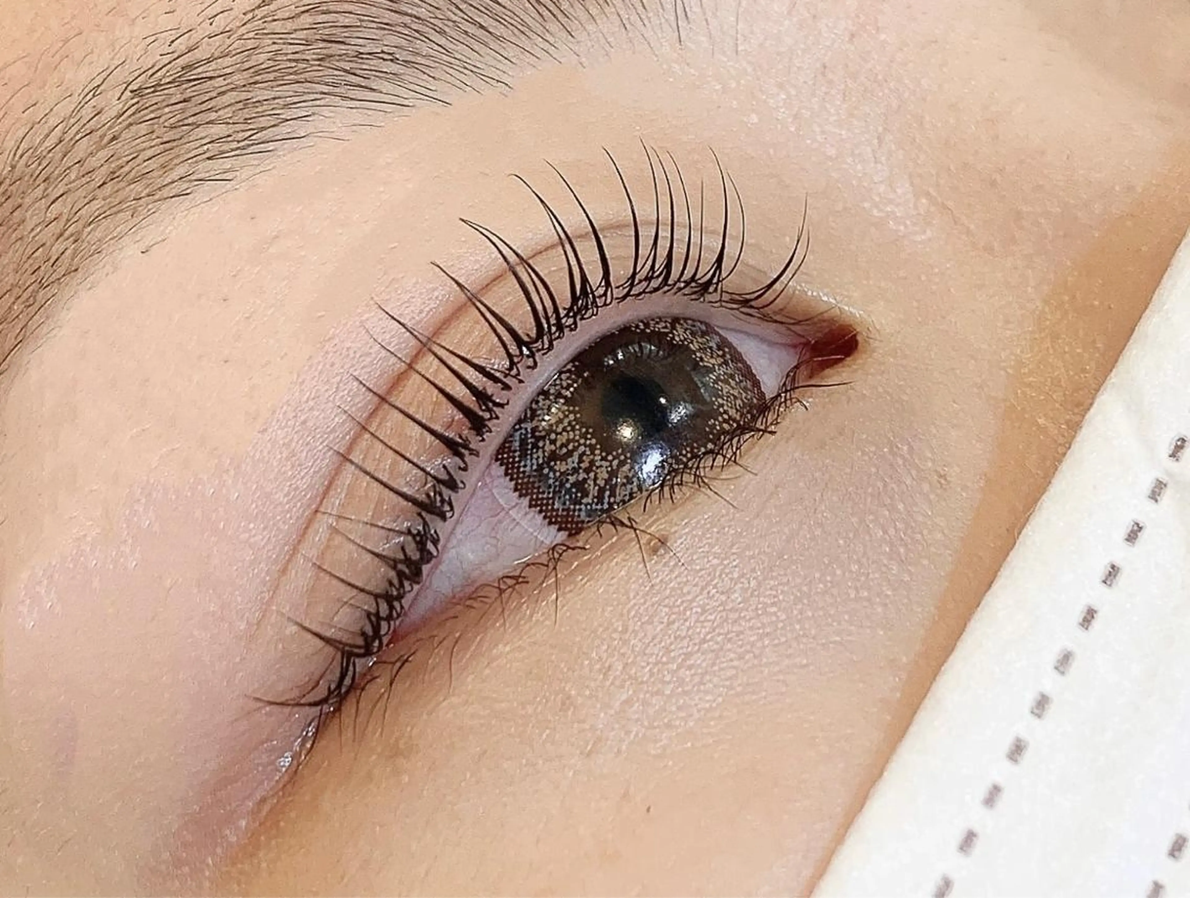 🖤4/15.16限定パリジェンヌ¥3500※記載事項ご確認くださいの写真