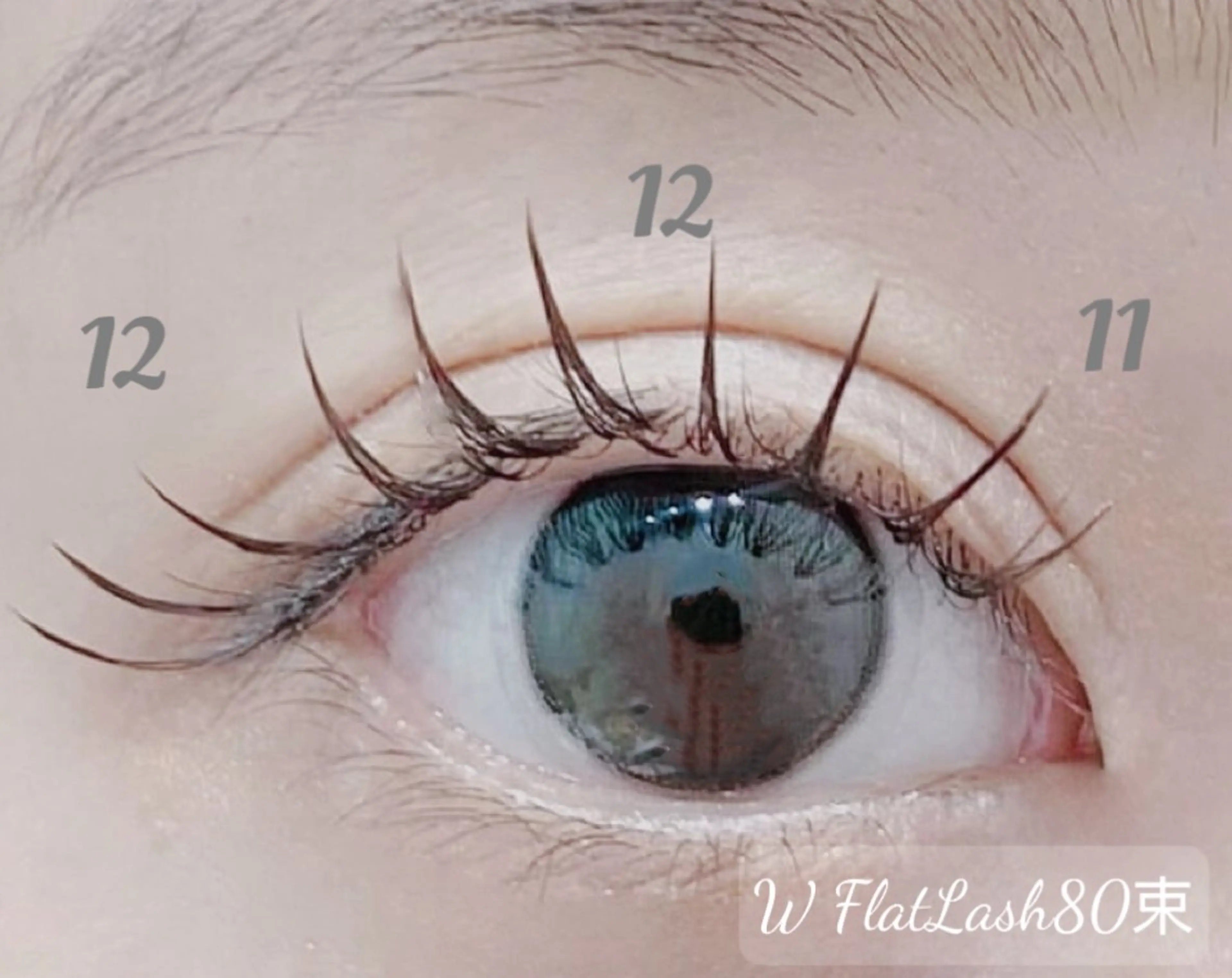 マツエク・マツパ フラットラッシュ Z·Sunny Eyelashのマツエク・マツパデザイン