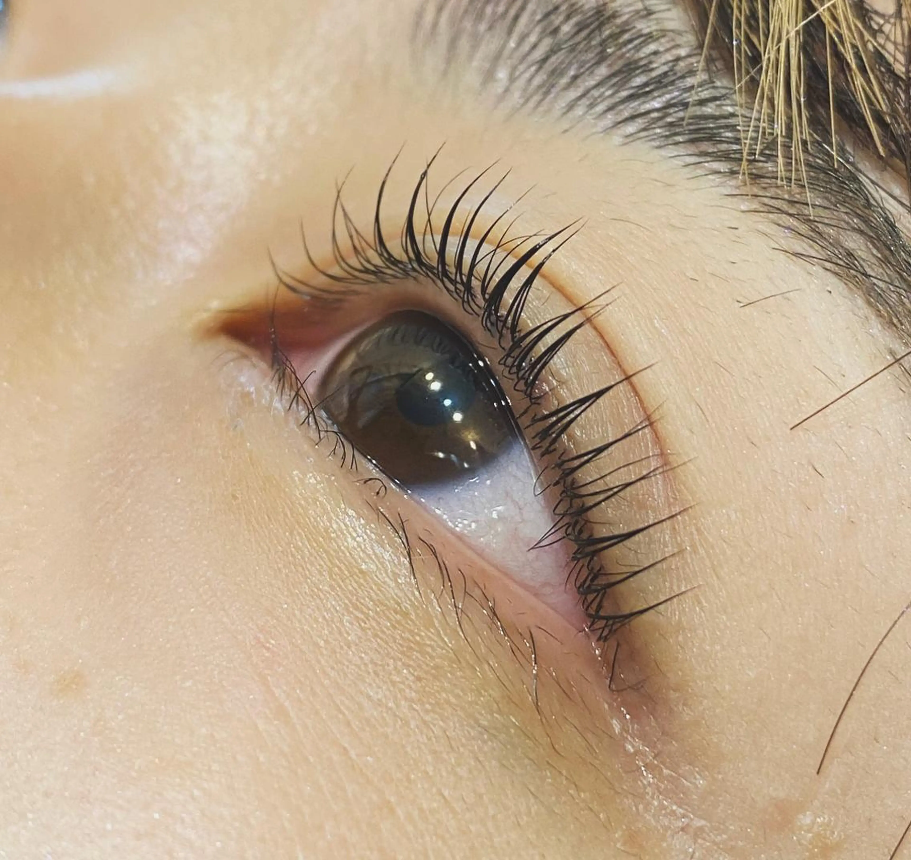 マツエク・マツパ マツパ Meili所属・Meili スタッフのマツエク・マツパデザイン