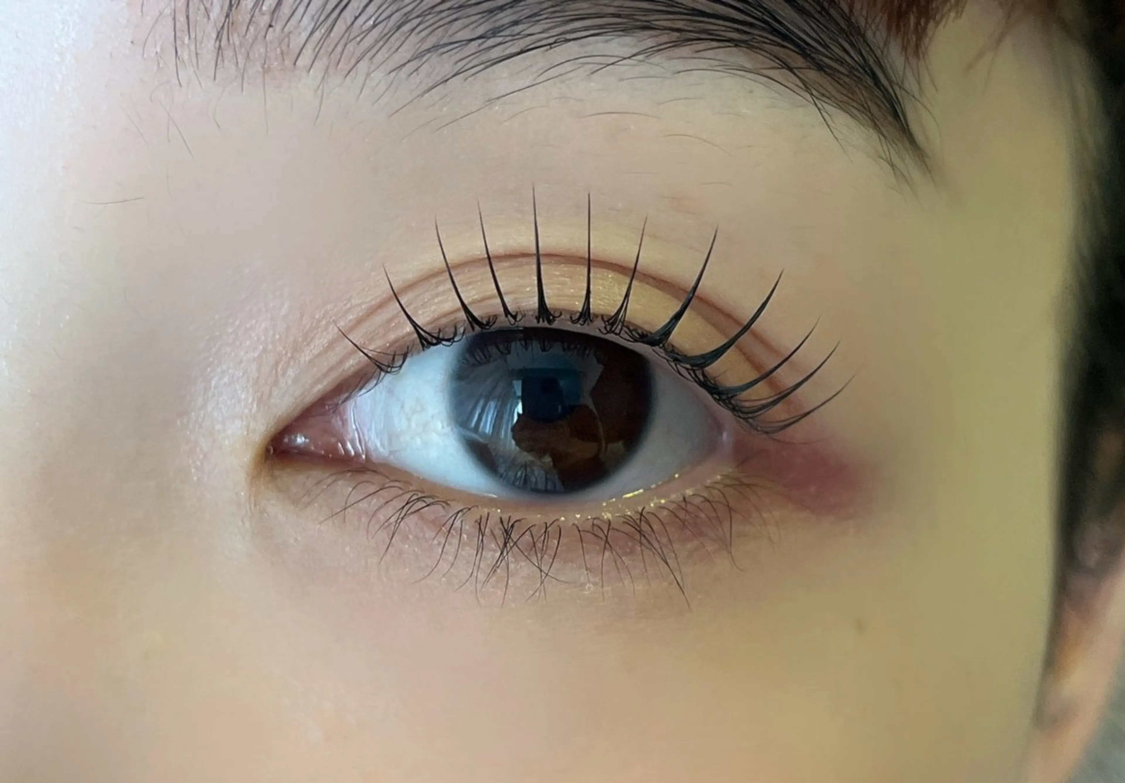 マツエク・マツパ パリジェンヌラッシュリフト マツパ 鈴木🍒 韓国風/束感⋆꙳のマツエク・マツパデザイン