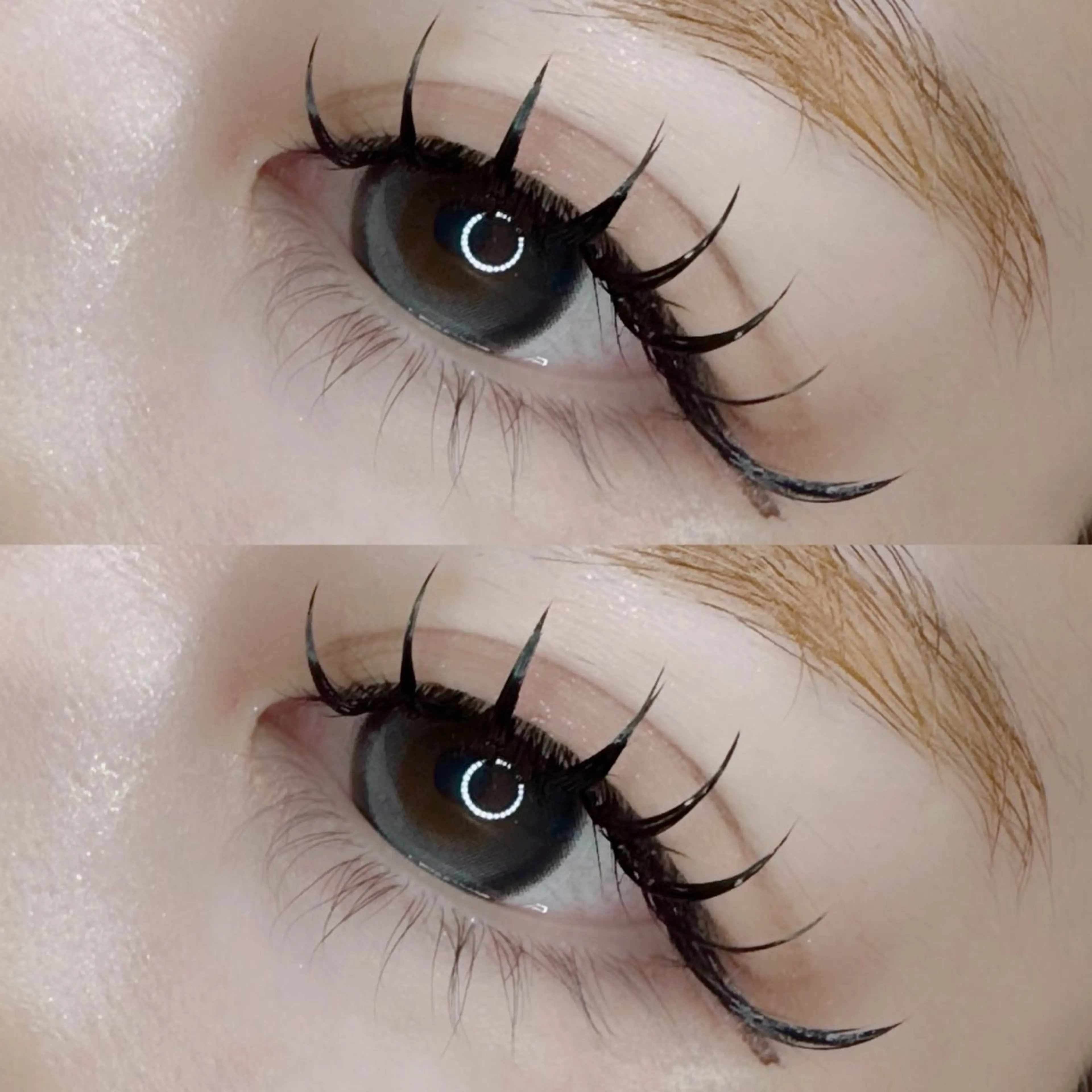 【オフ込み】💙圧倒的モチ+濃さ💙LED×バインドロック100束🪻の写真