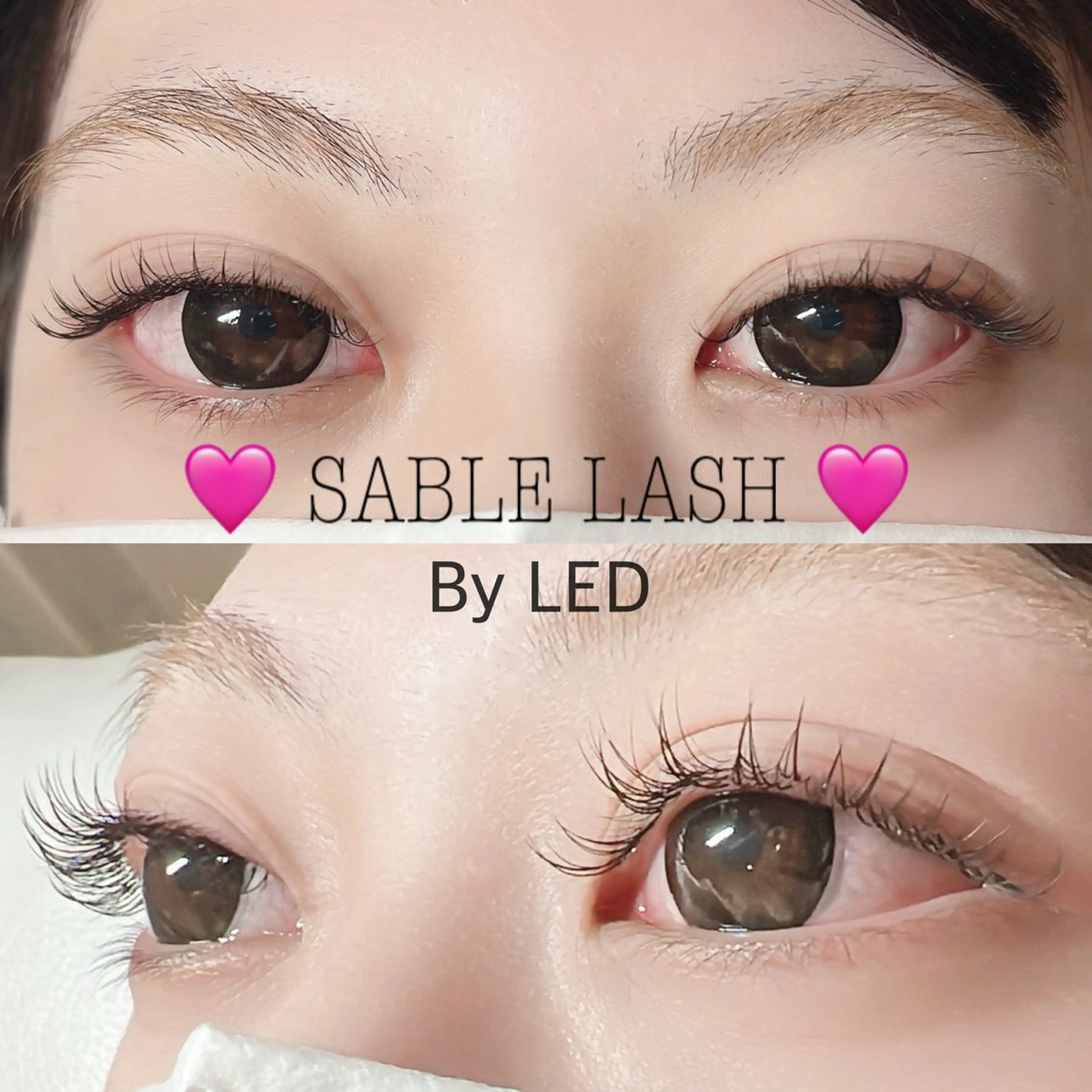 ãããšã¯ã»ããã ãããšã¯ PutiLuca äœã
æšã®ãããšã¯ã»ããããã¶ã€ã³