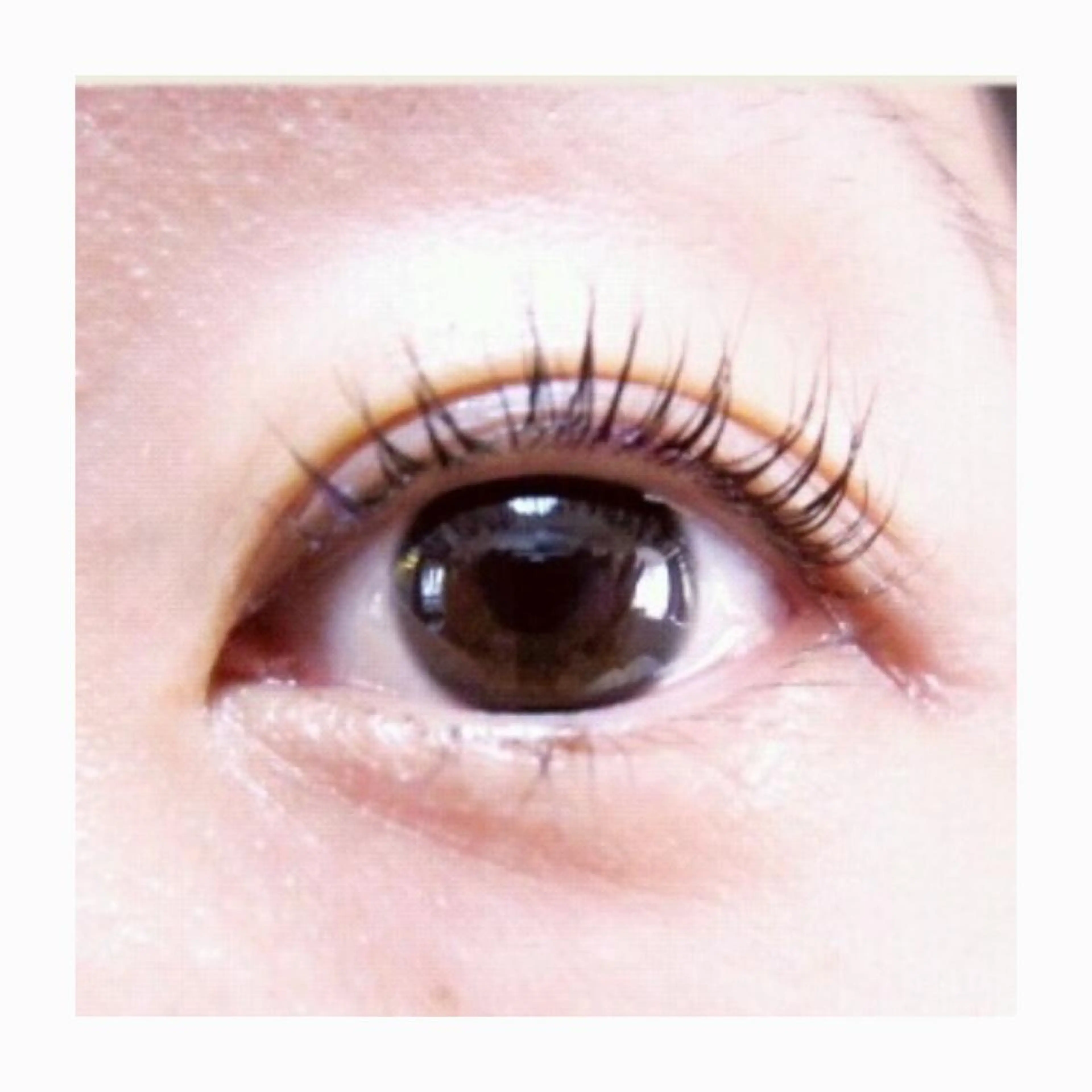 マツエク・マツパ Fura Cocoのマツエク・マツパデザイン