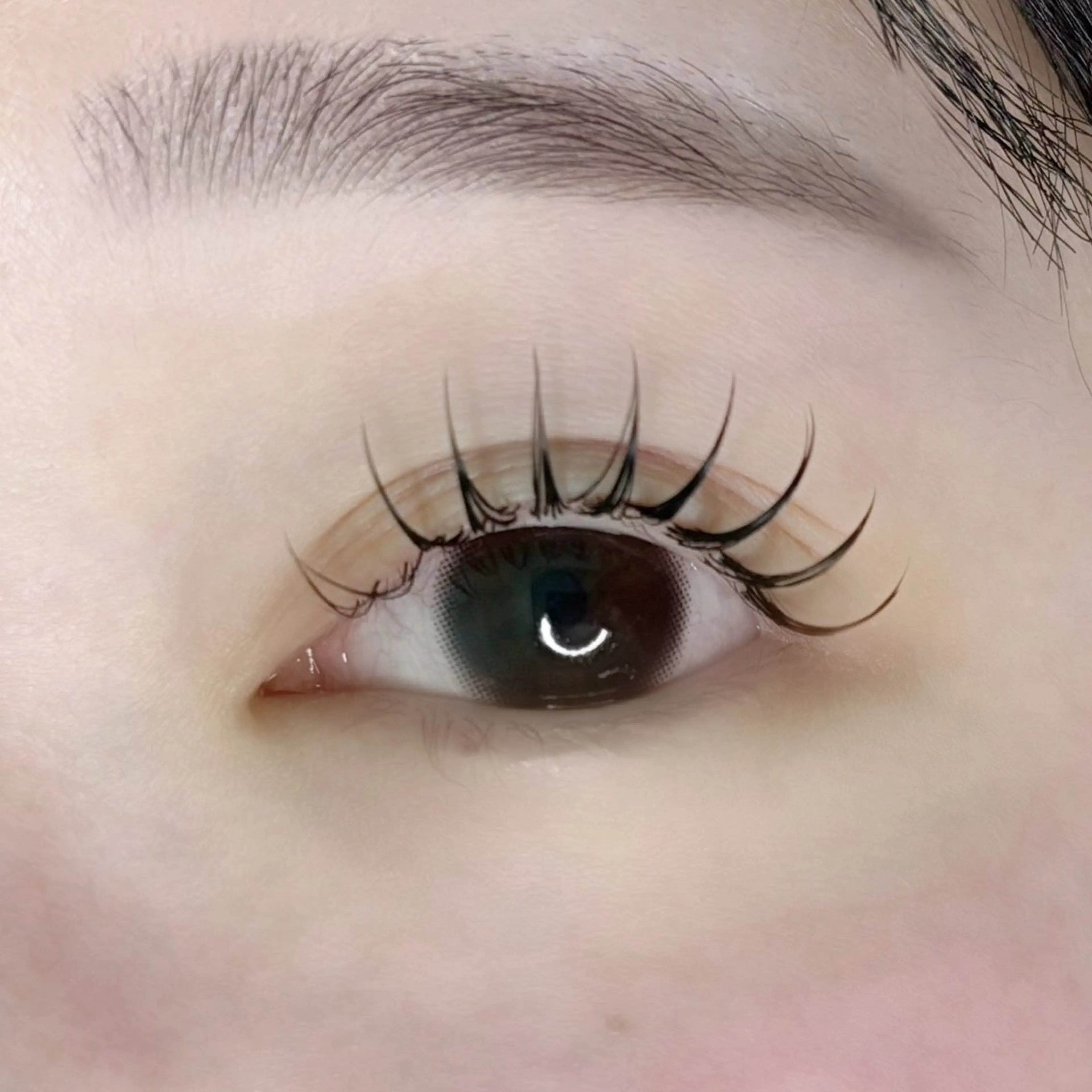 🫘YUHI限定🫘   【束感コーティング付き✨️】          🩰フラットラッシュ 120本🩰の写真