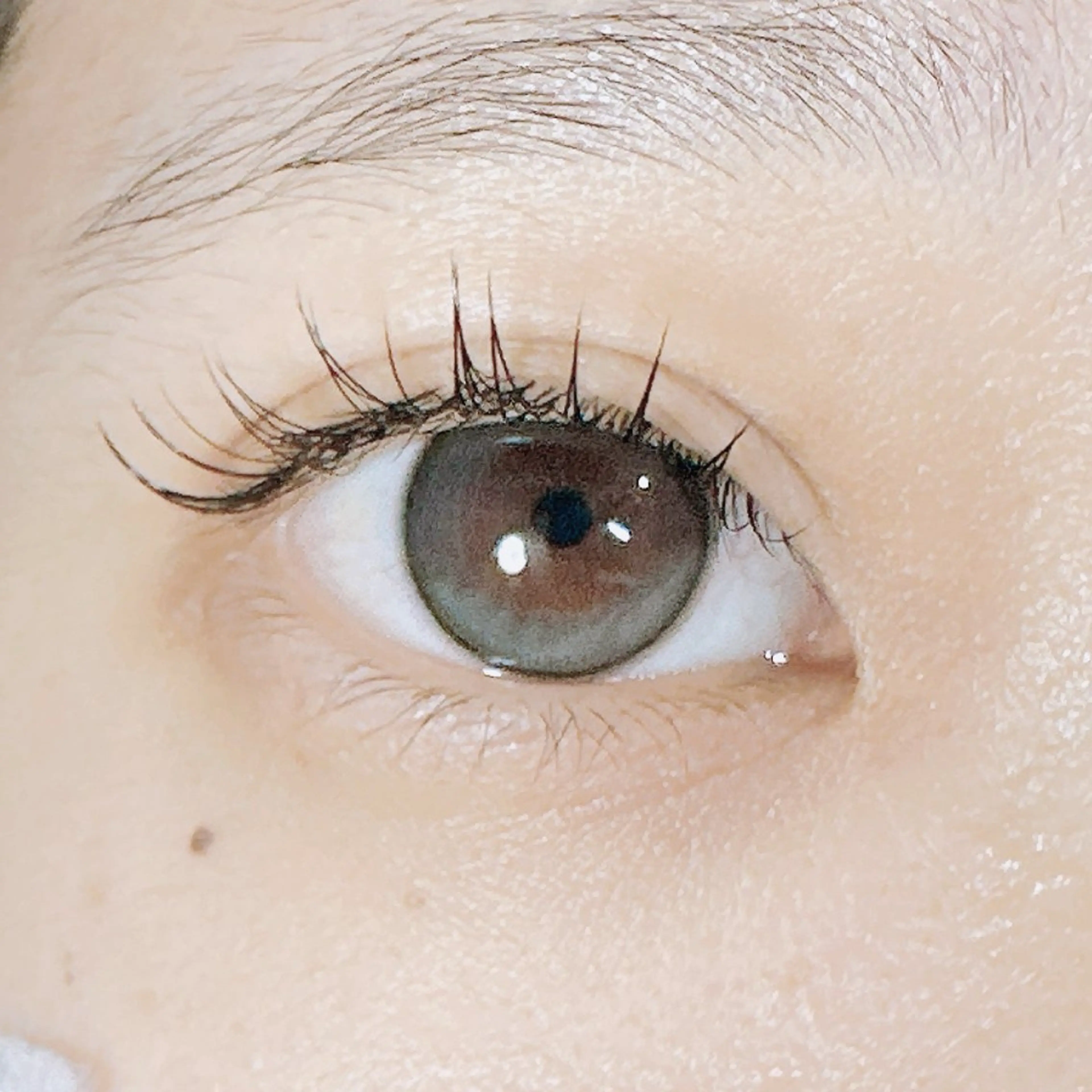 マツエク・マツパ Cカール フラットラッシュ マツエク cafoori所属・m rinのマツエク・マツパデザイン