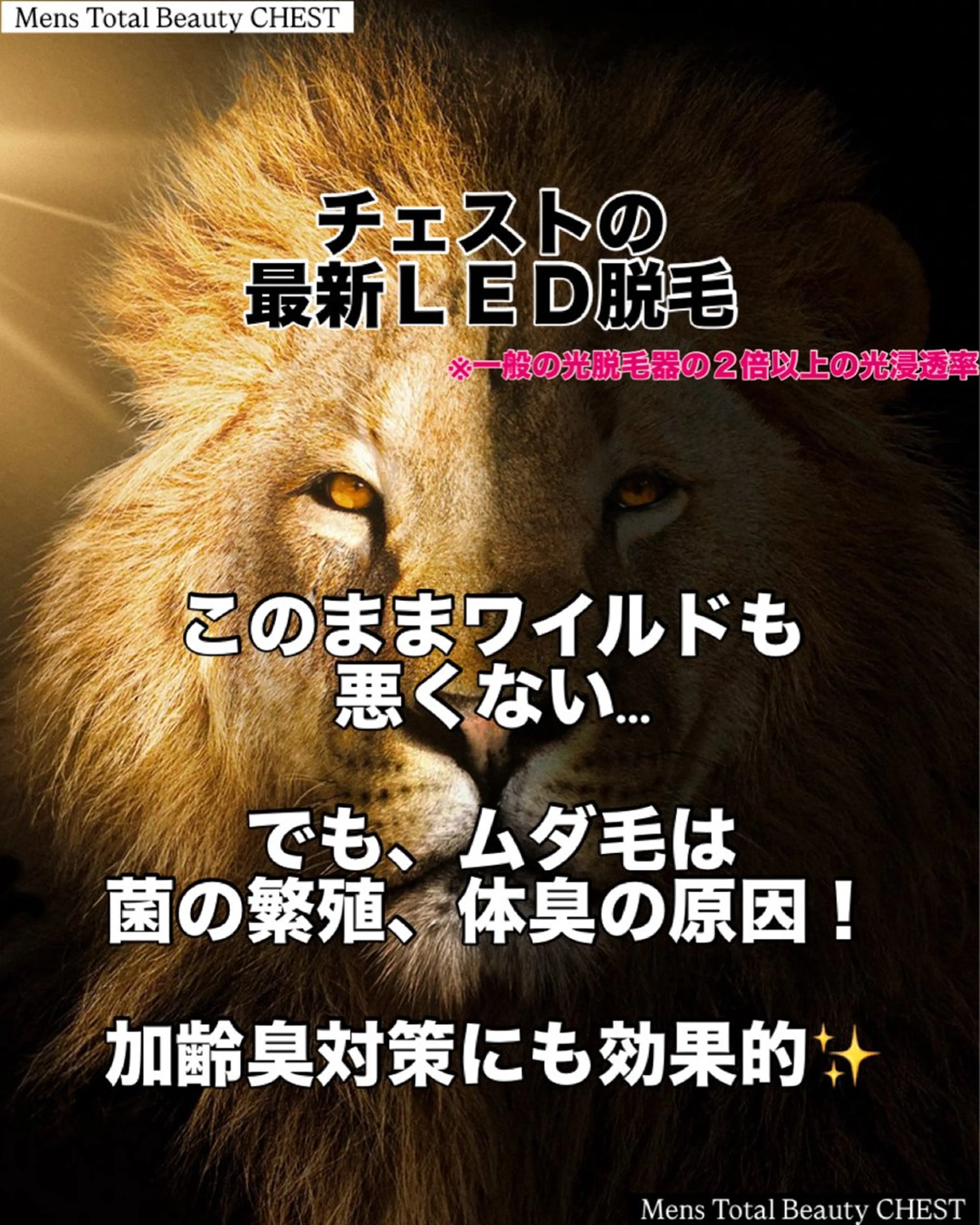 【メンズ／ミニモ学割】LED脱毛 （背中）の写真