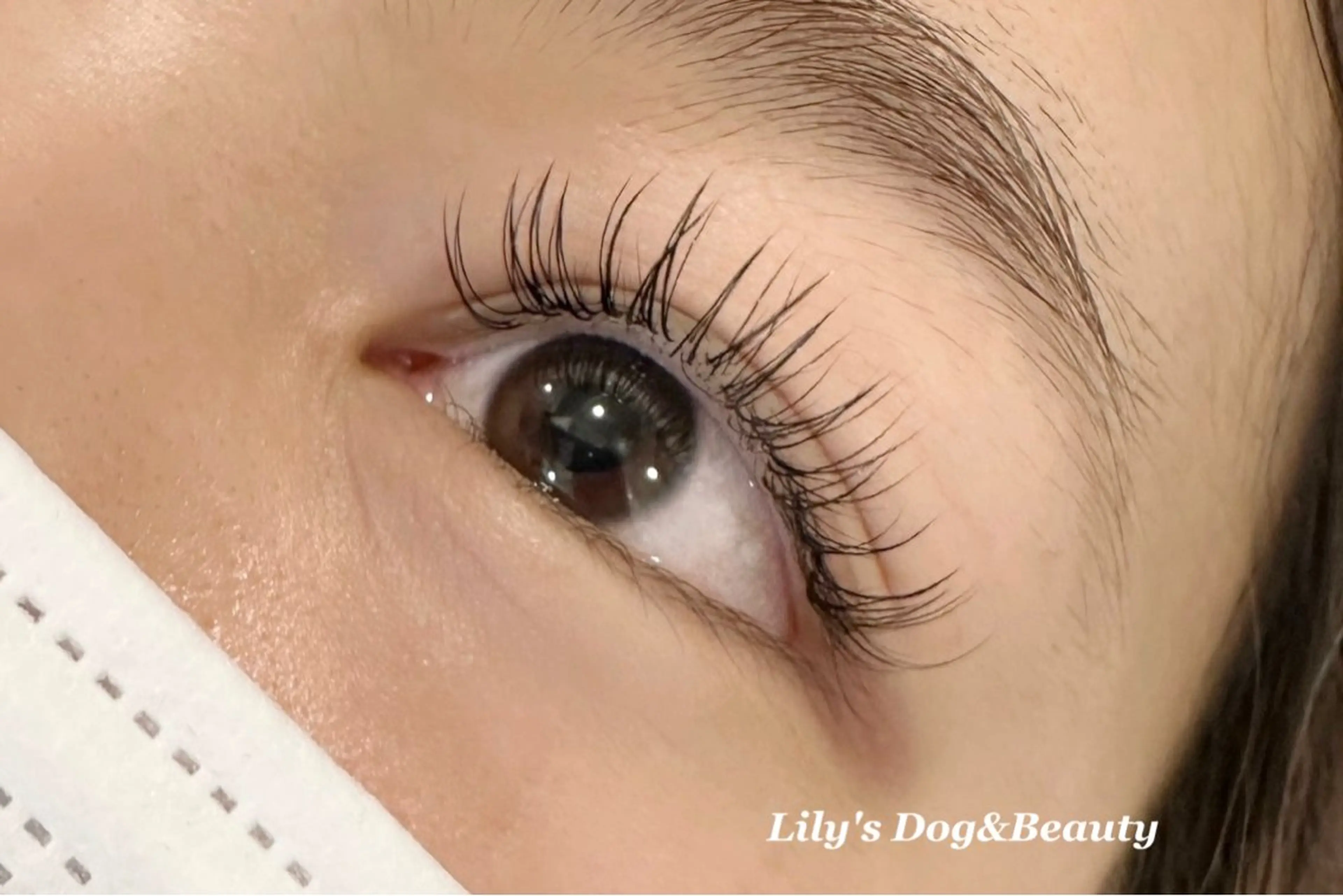 マツエク・マツパ Lily's   Dog&beauty所属・モデル募集 練習生のネイルデザイン