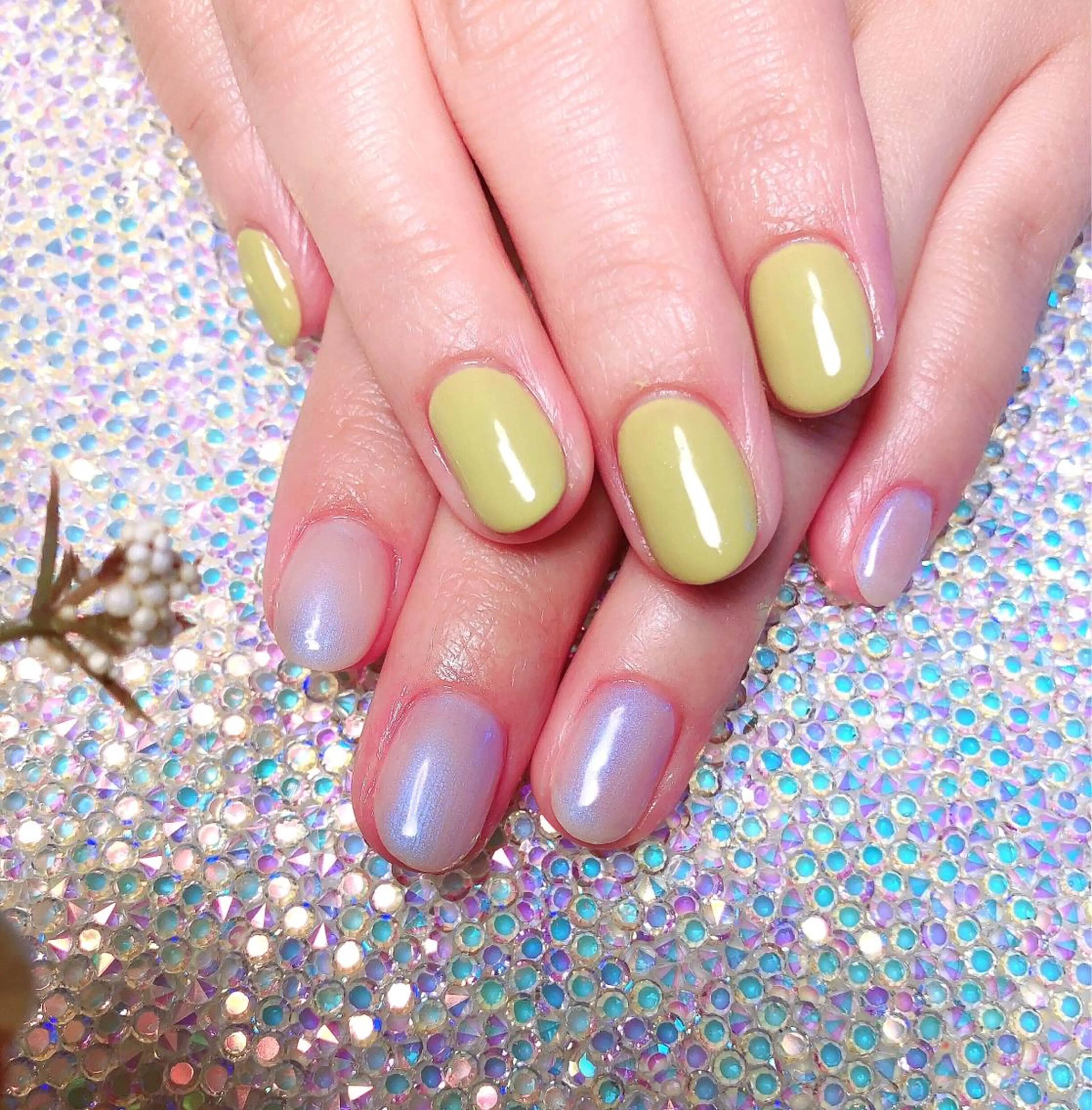 ネイル ワンカラーネイル 🍭Kiara Nail🍭のネイルデザイン