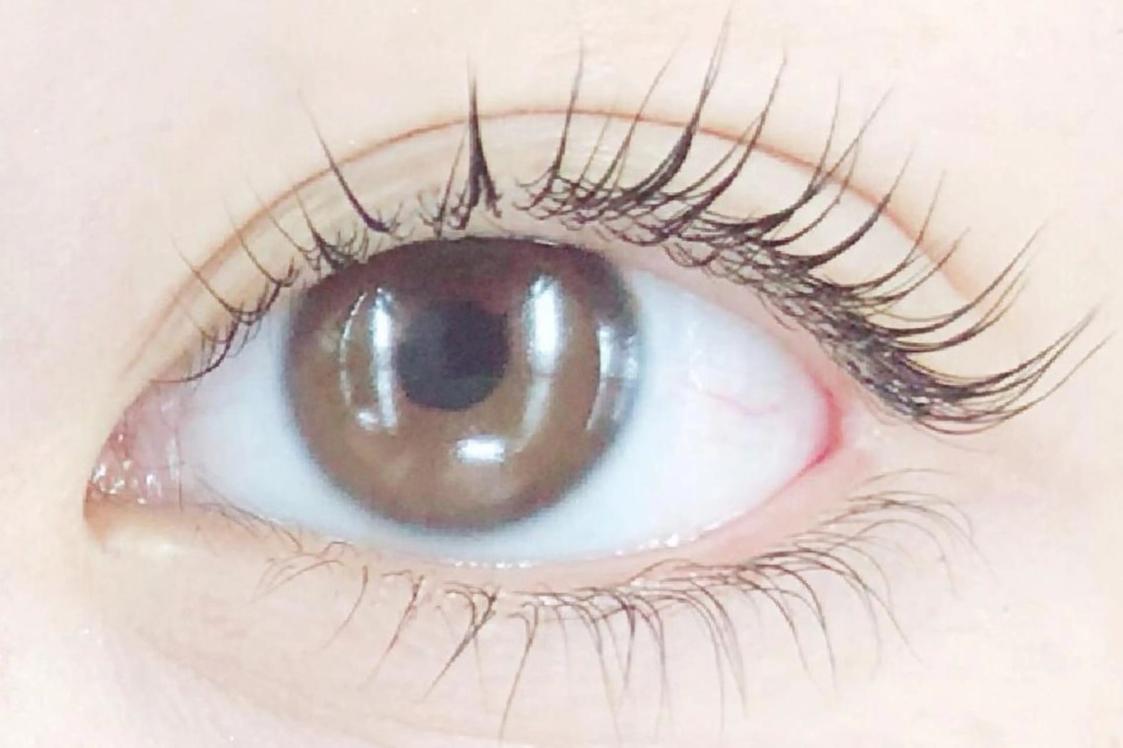 下まつげパーマモデル募集の写真