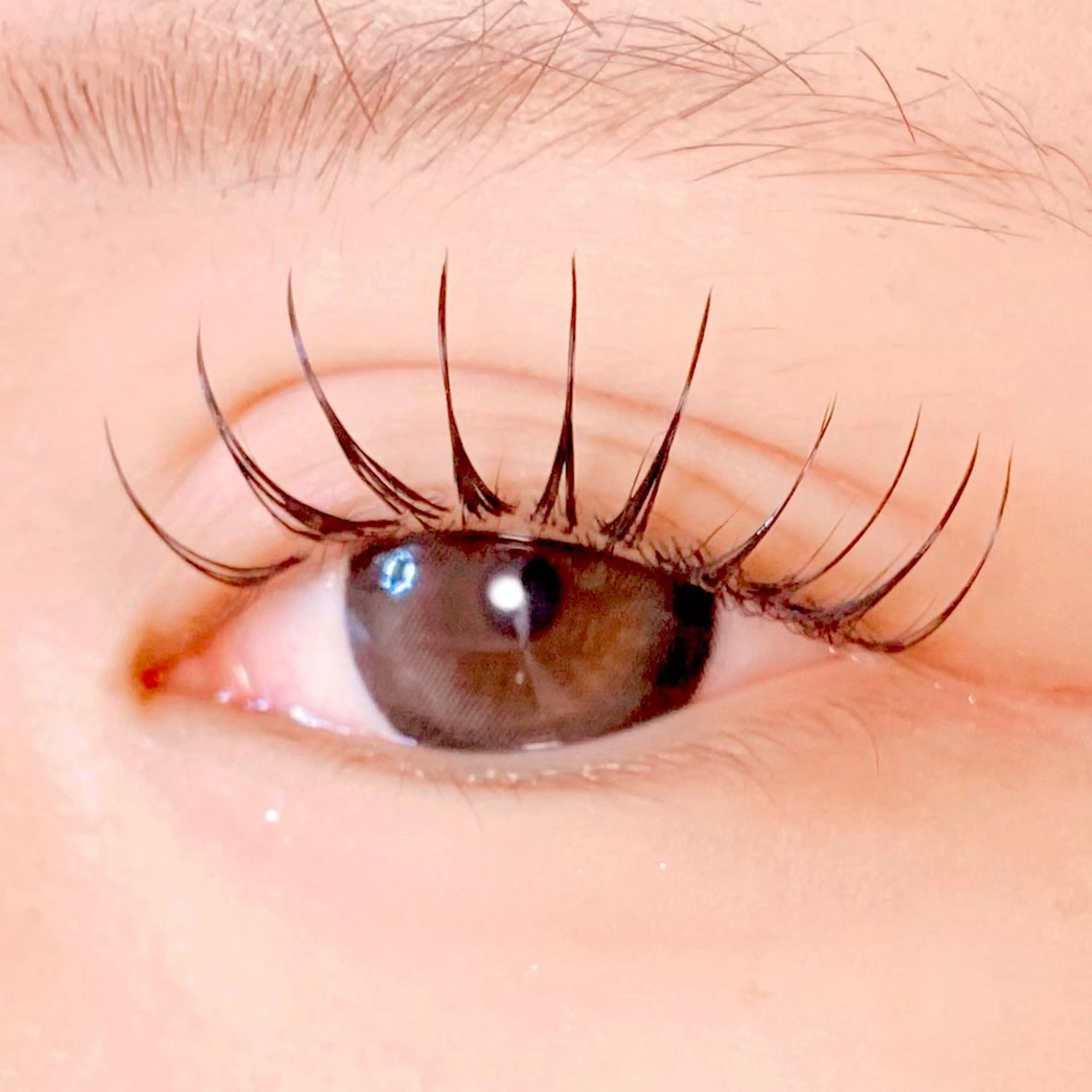 マツエク・マツパ 🍒Anela 神田ゆか🍒のマツエク・マツパデザイン