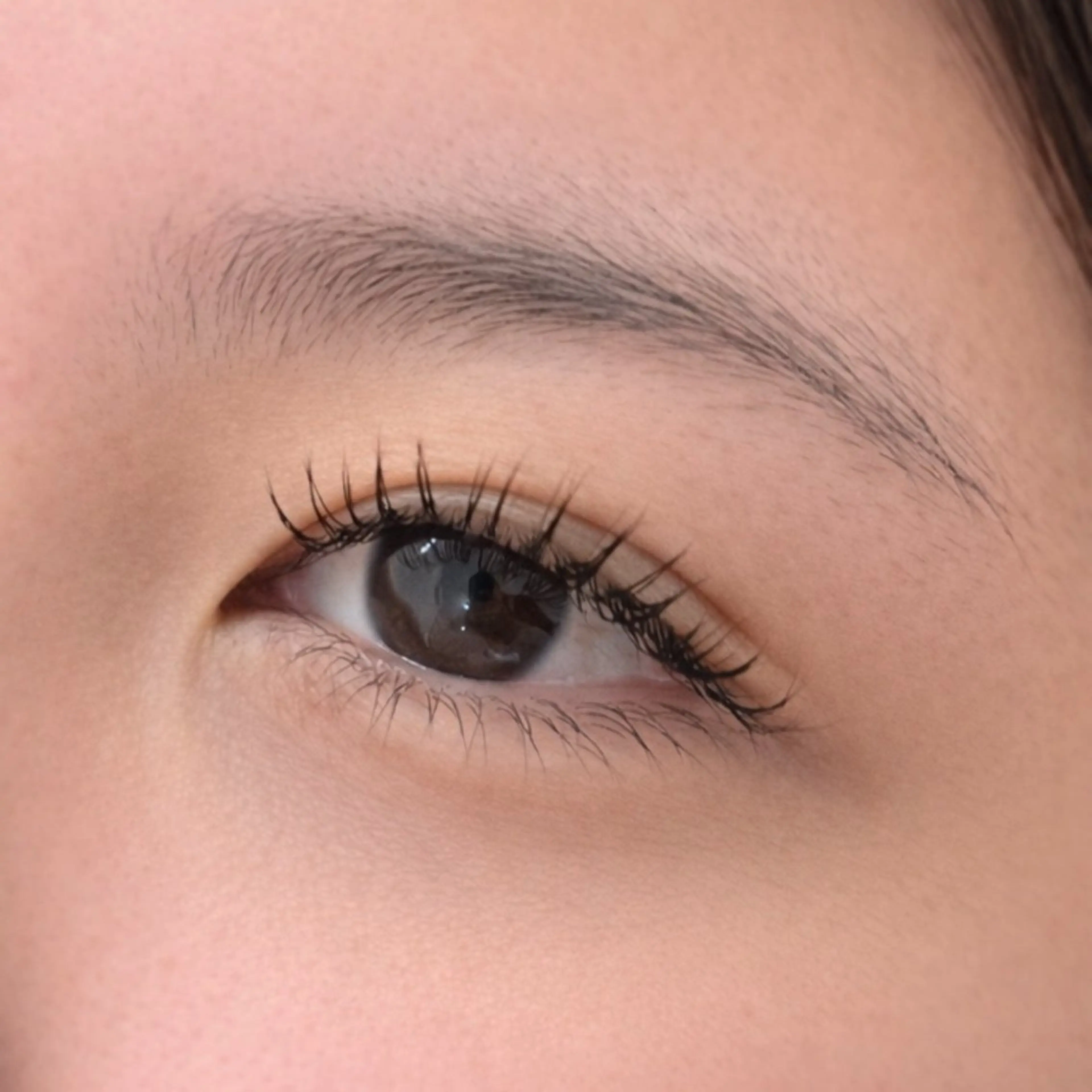 フラットラッシュ １２０本(アイシャンプー付き)の写真