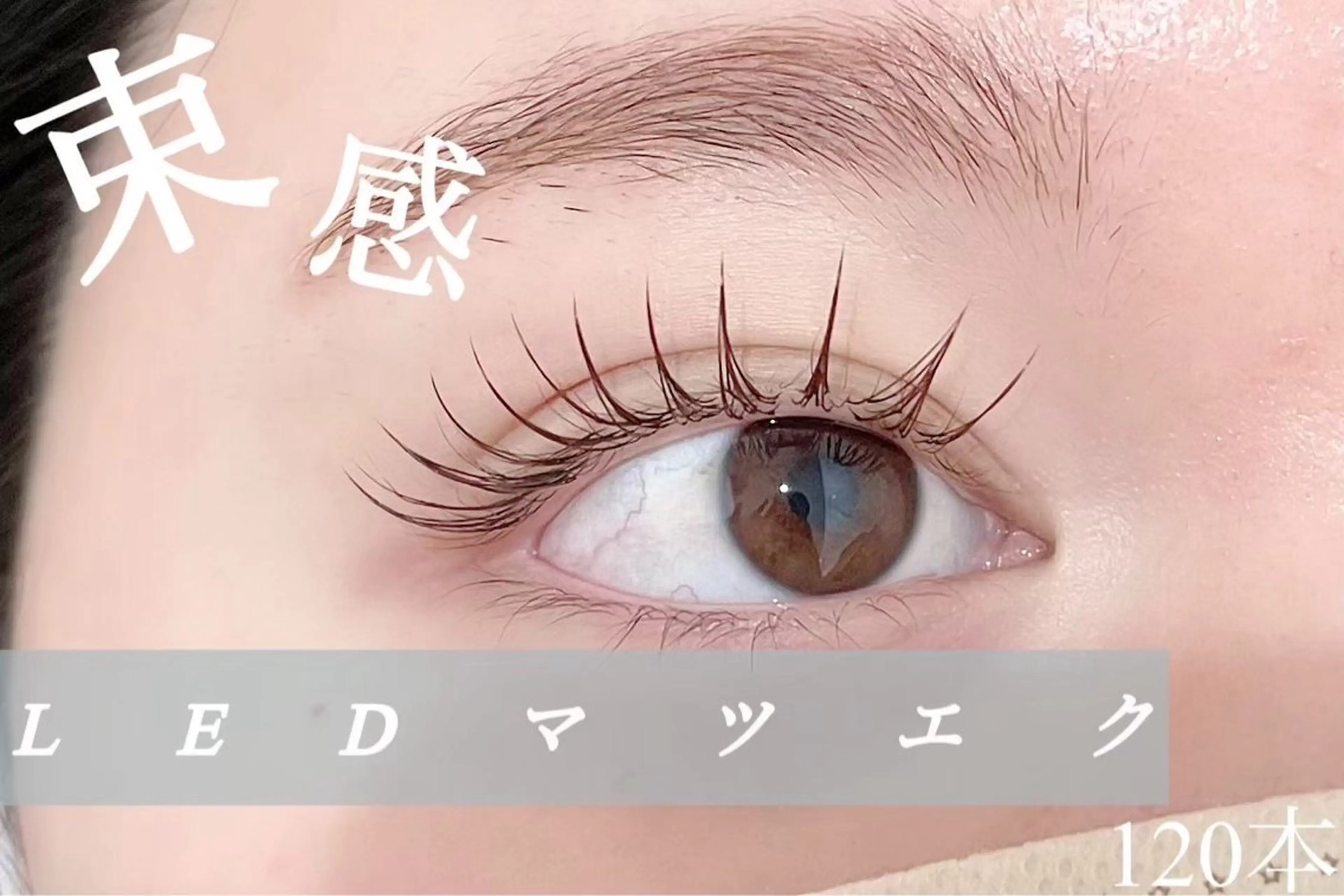 LEDオフ無し100本🌼目元の写真撮影可能な方コーティング仕上げ無料の写真