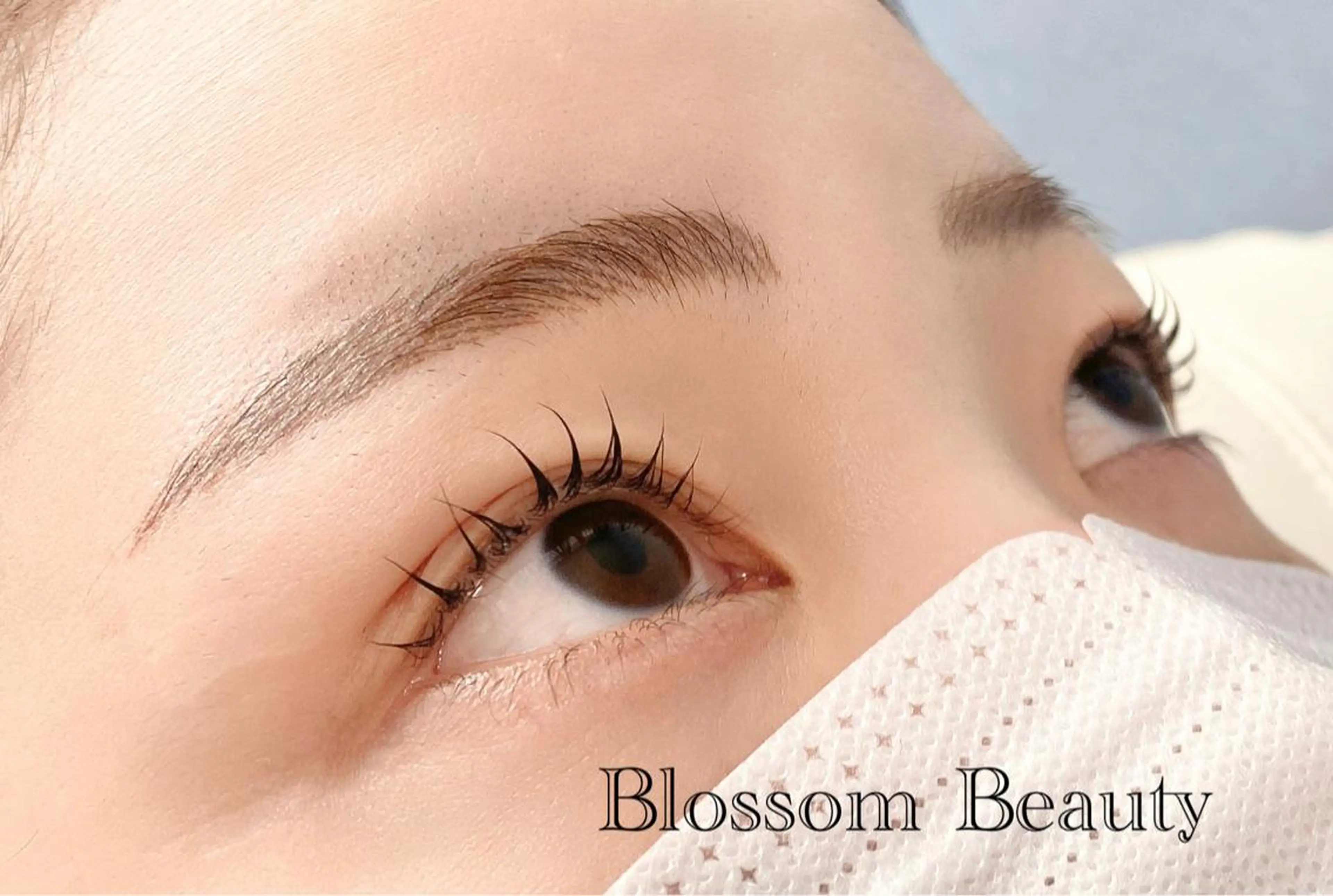 マツエク・マツパ Blossom Beauty aoiのマツエク・マツパデザイン