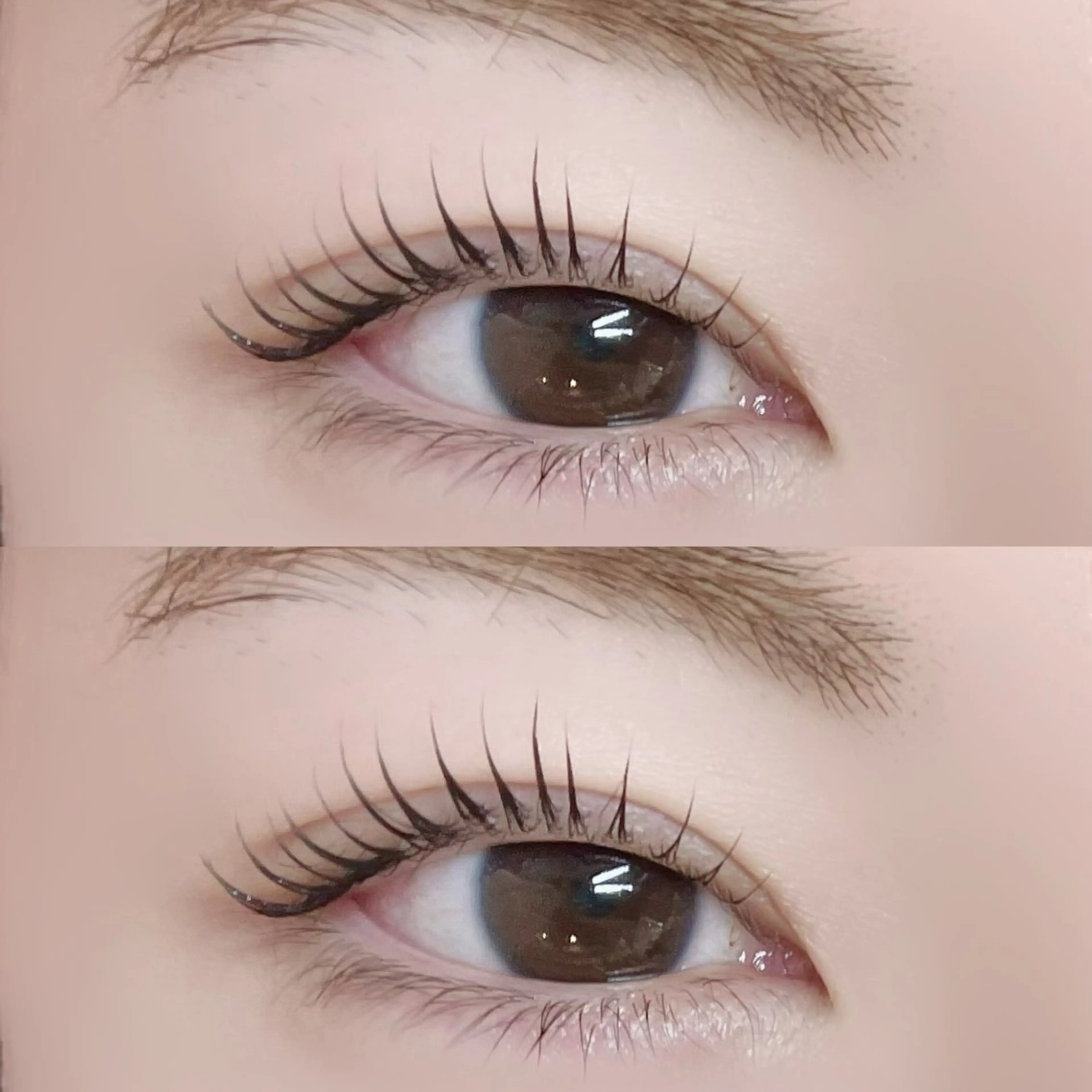 マツエク・マツパ Pupu Lash4のエステ・リラクイメージ