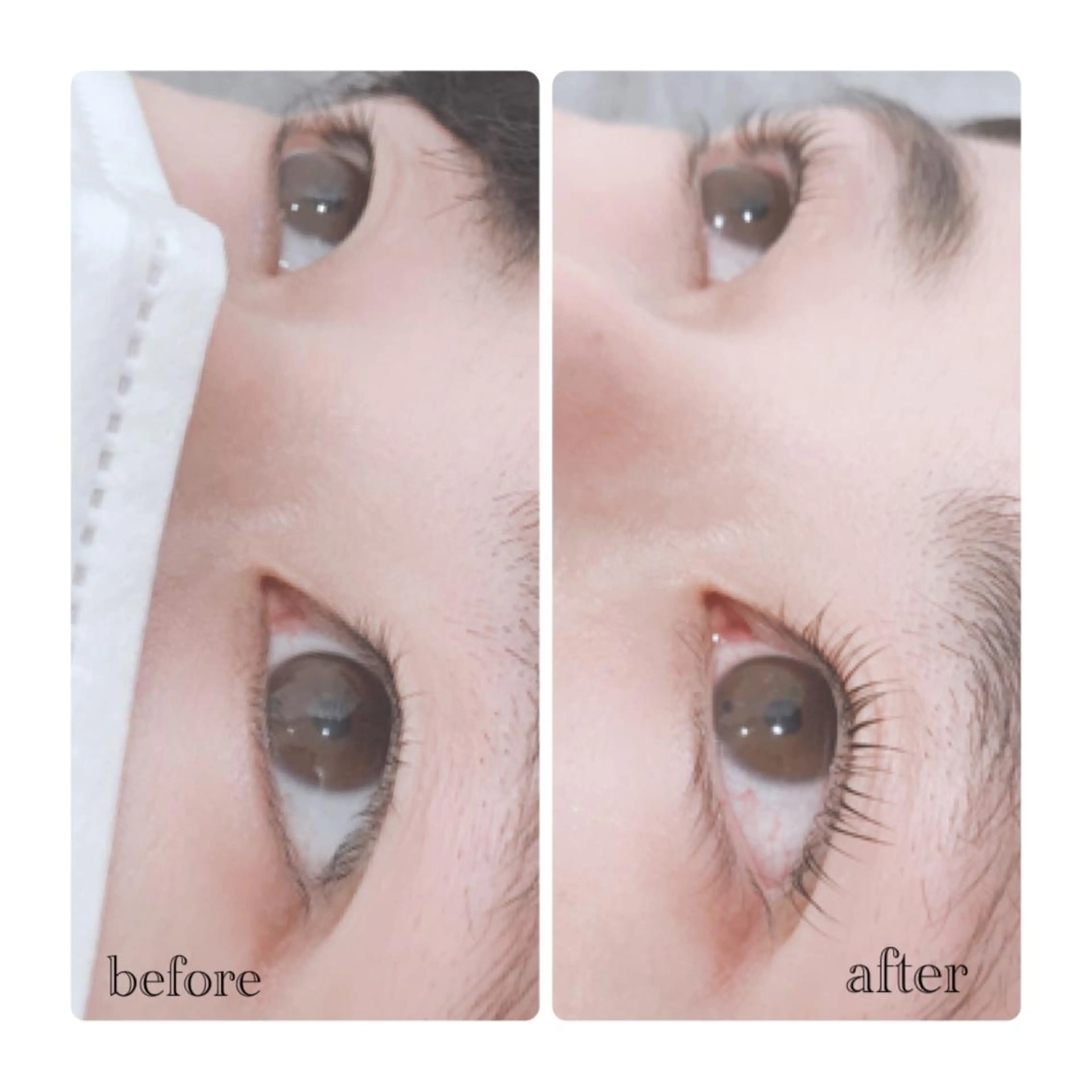 マツエク・マツパ ELLA 菊地のマツエク・マツパデザイン