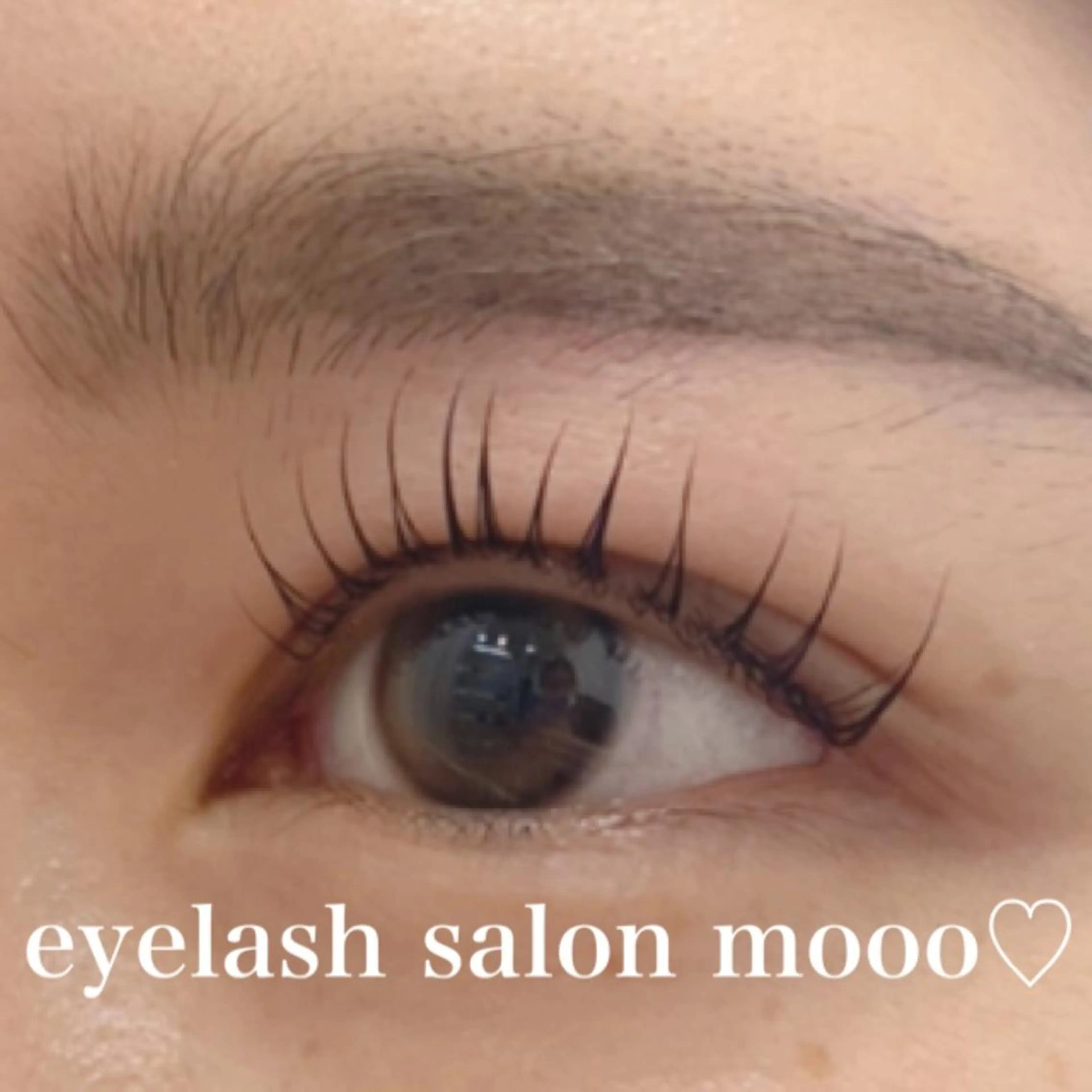 🥀ケラチン配合！ラッシュリフト🎀(アイシャンプーとコーティング付🌟)の写真