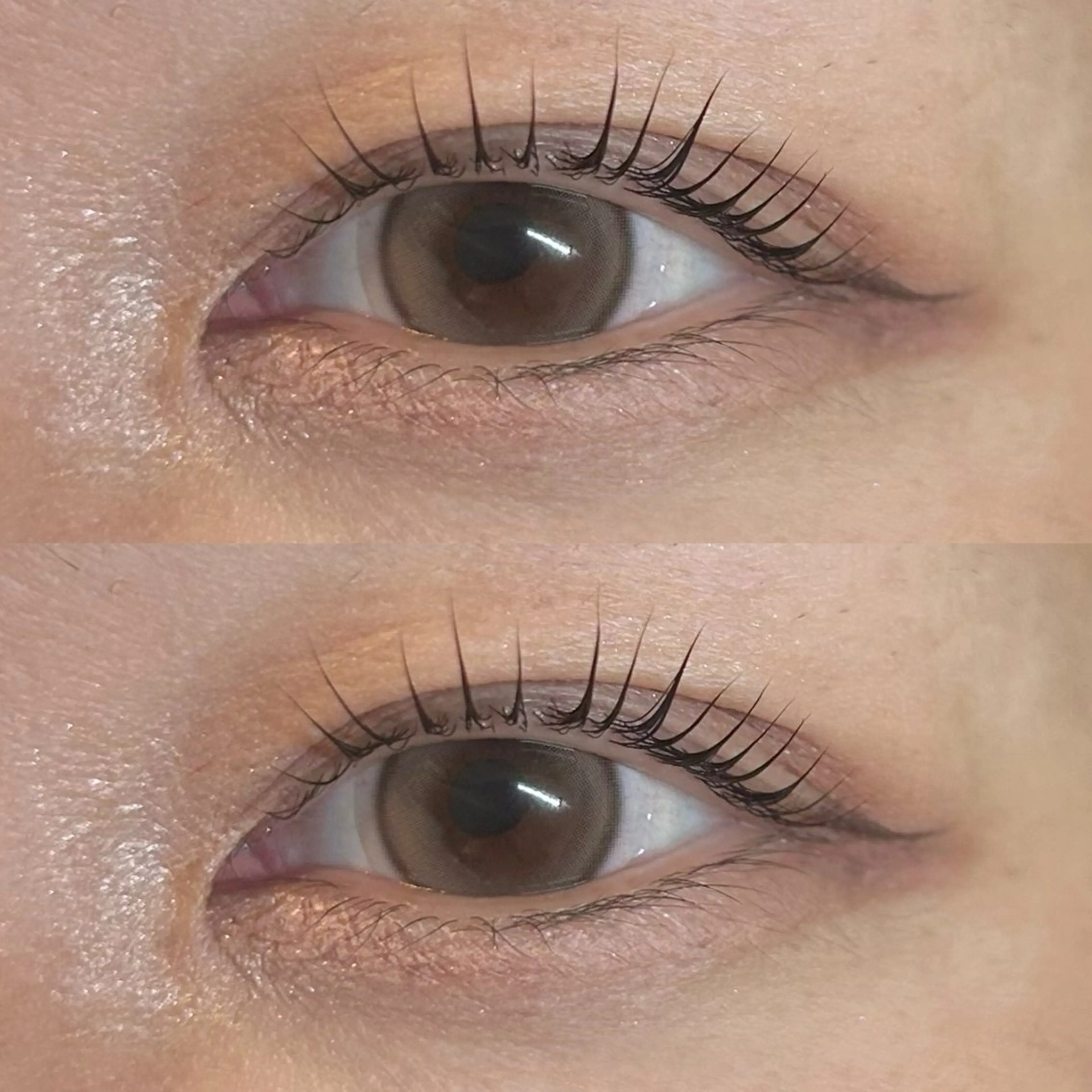 マツエク・マツパ マツパ Rise 🎀のマツエク・マツパデザイン