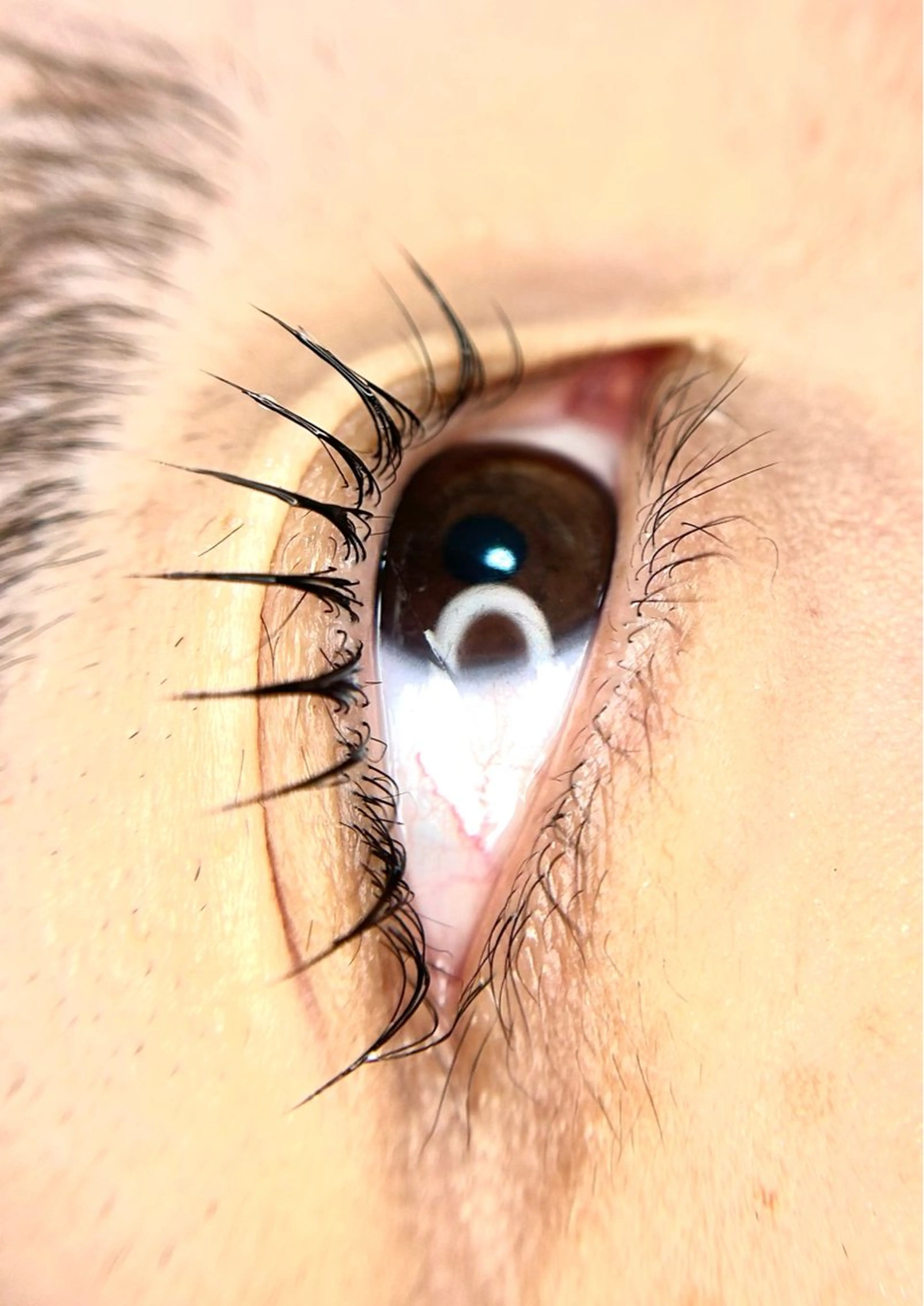 マツエク・マツパ パリジェンヌラッシュリフト Lash Lift WAVE🩵の眉毛・アイブロウイメージ