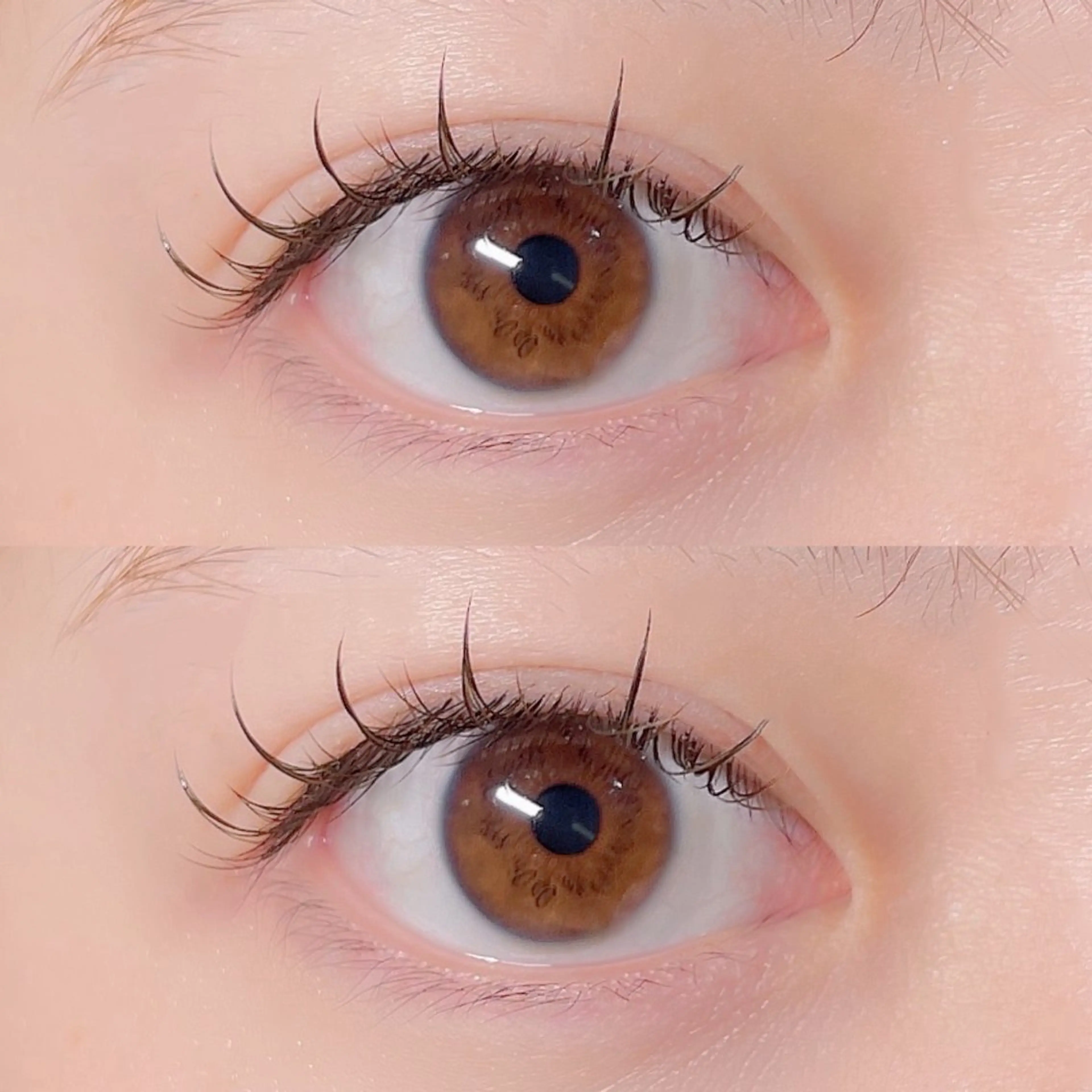 マツエク・マツパ フラットラッシュ ワンホンマツエク 🎀銀座パリジェンヌ マツエクmomo🎀のマツエク・マツパデザイン