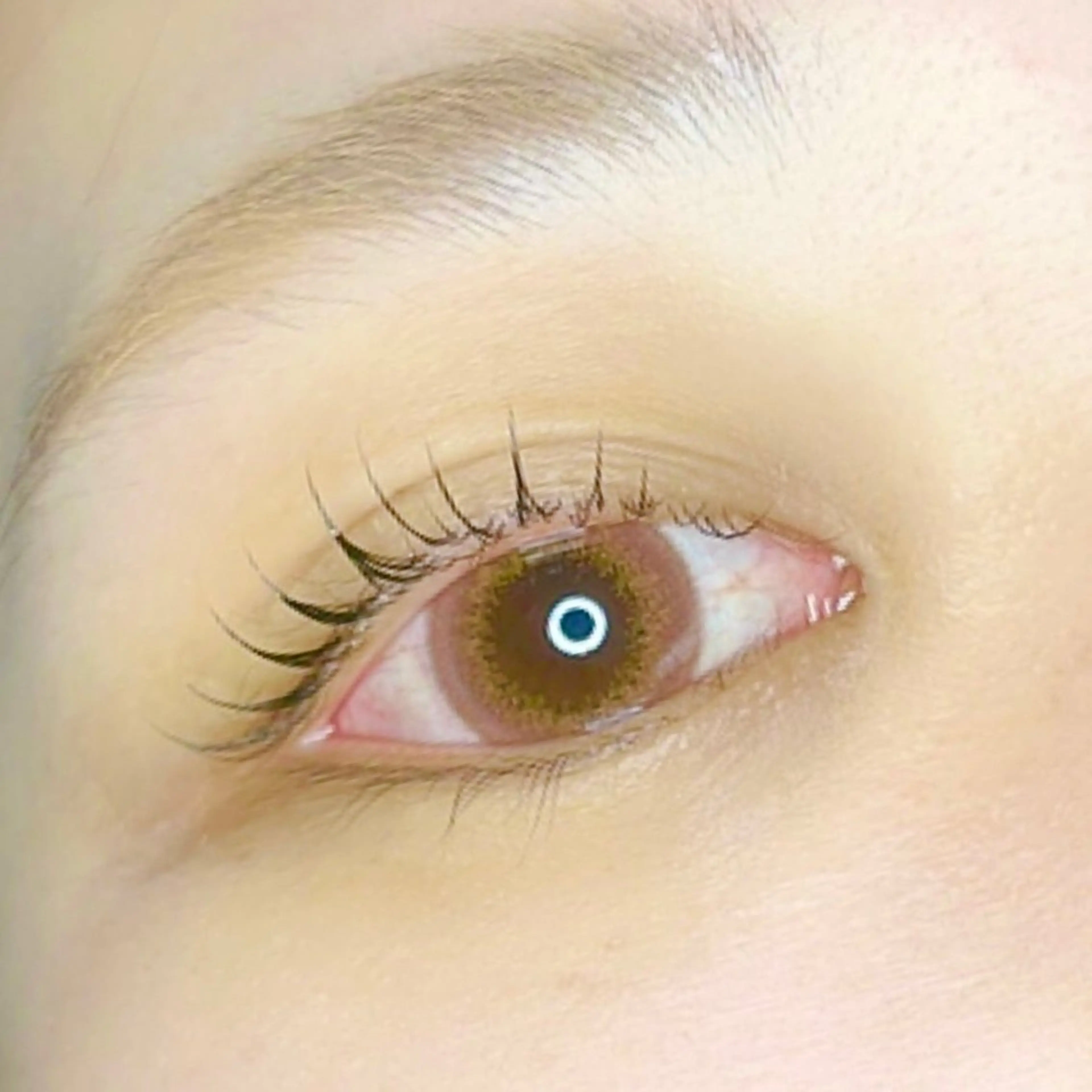 マツエク・マツパ 🆕TRUTH千葉店 店長Yuのヘアスタイル