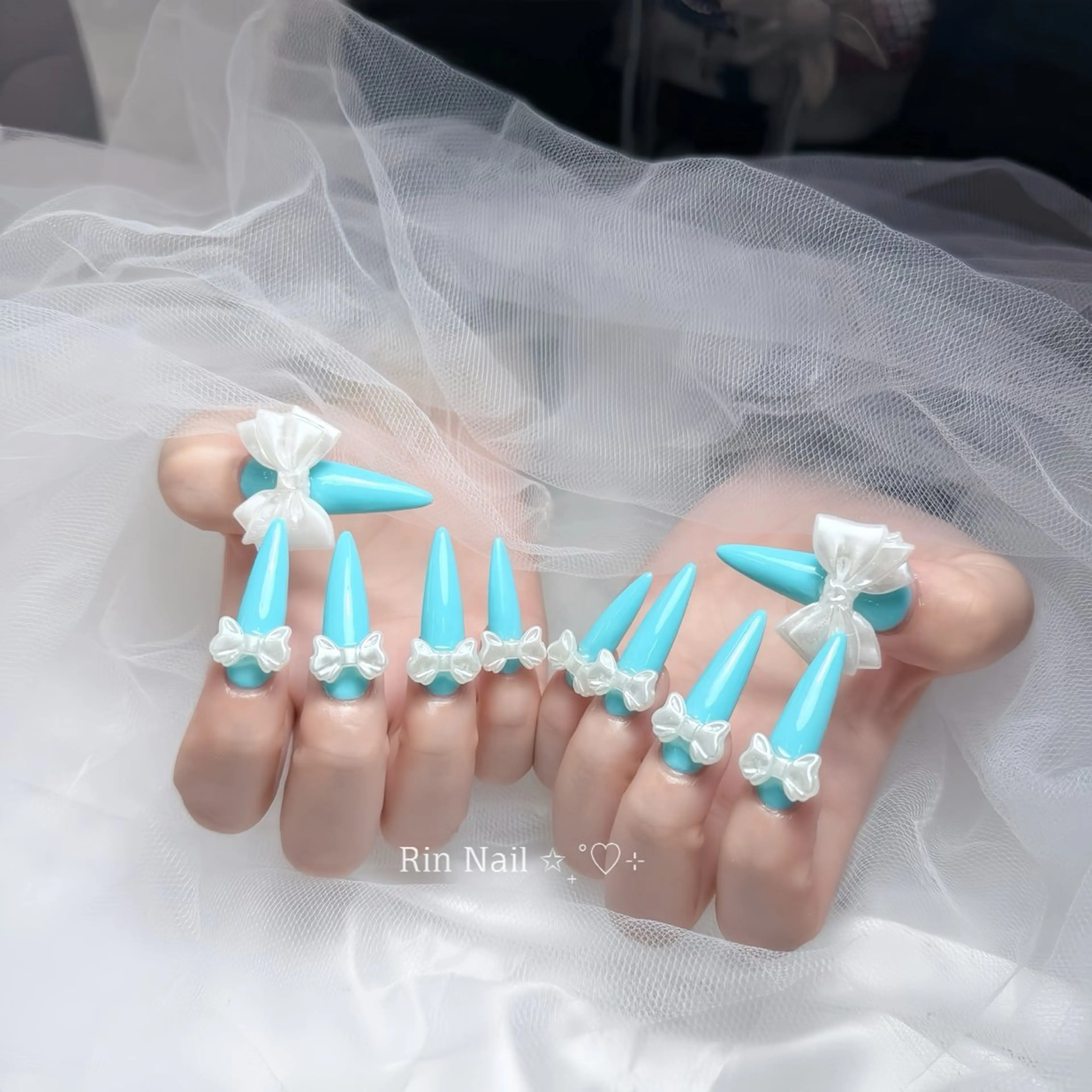 ネイル アートネイル チークネイル ジェルネイル ロングネイル マグネットネイル ハンドネイル Rin Nail 新大久保店のネイルデザイン