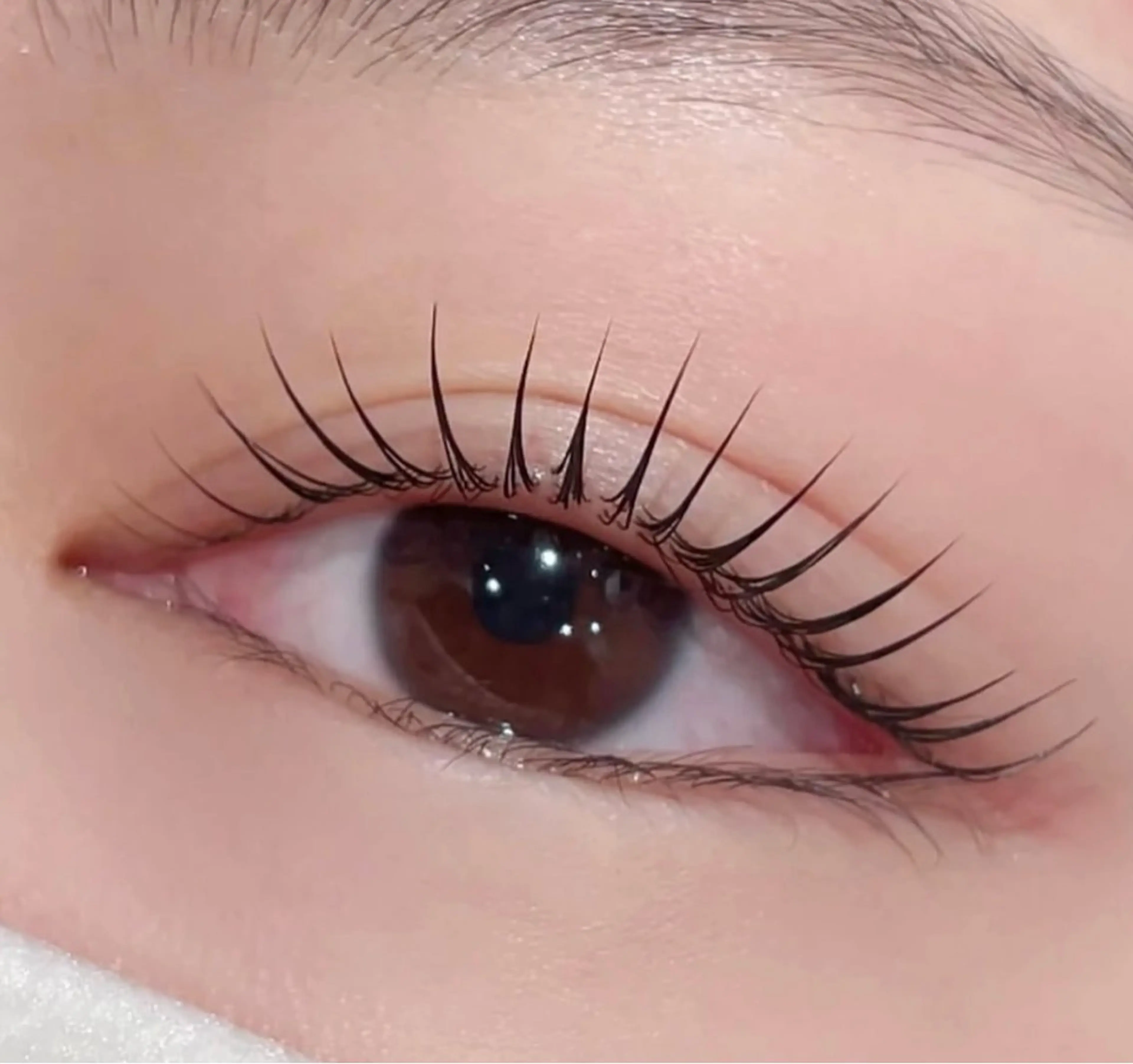 マツエク・マツパ Kllマツエク& まつげパーマ池袋店のマツエク・マツパデザイン