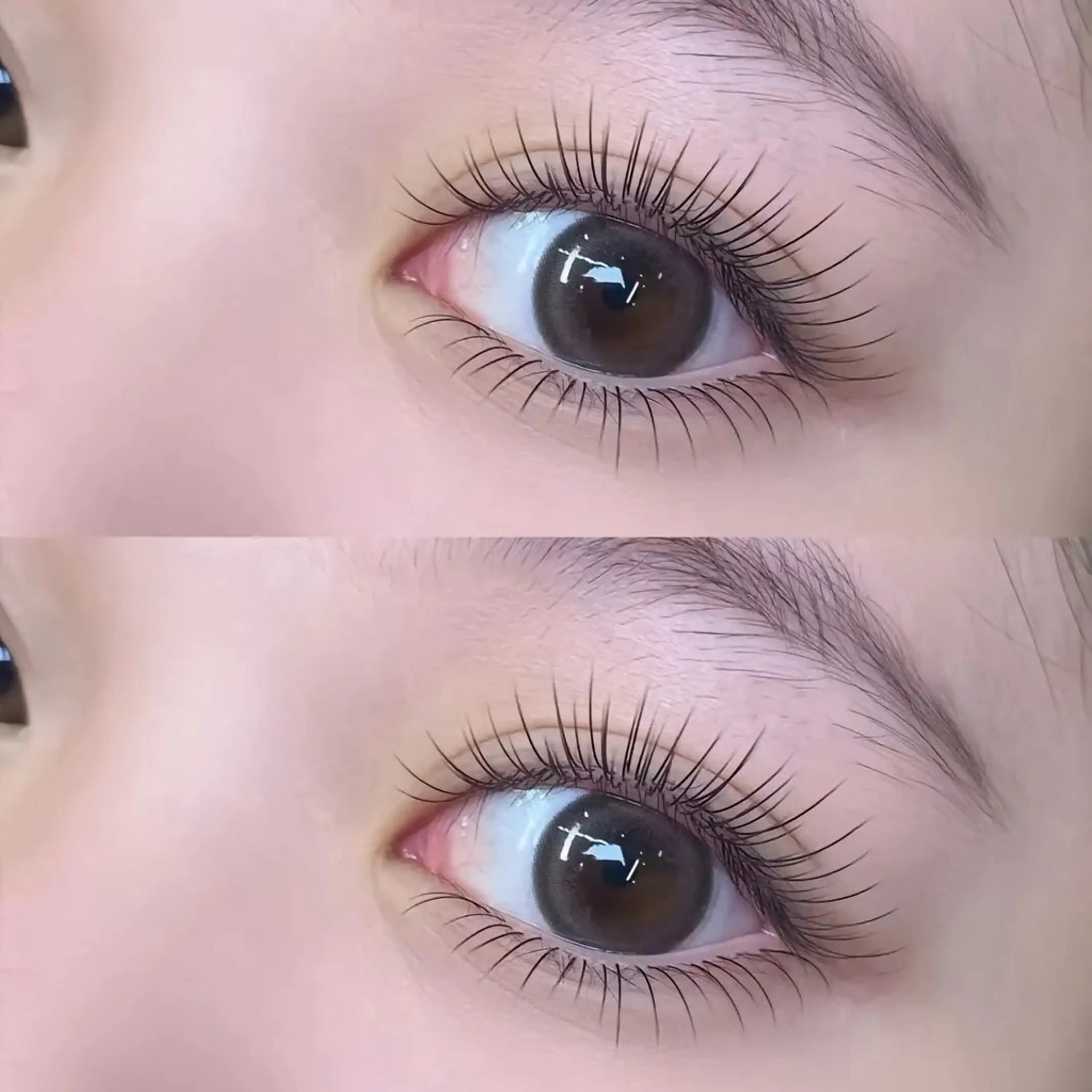 ダブルラッシュ80束￥5980の写真