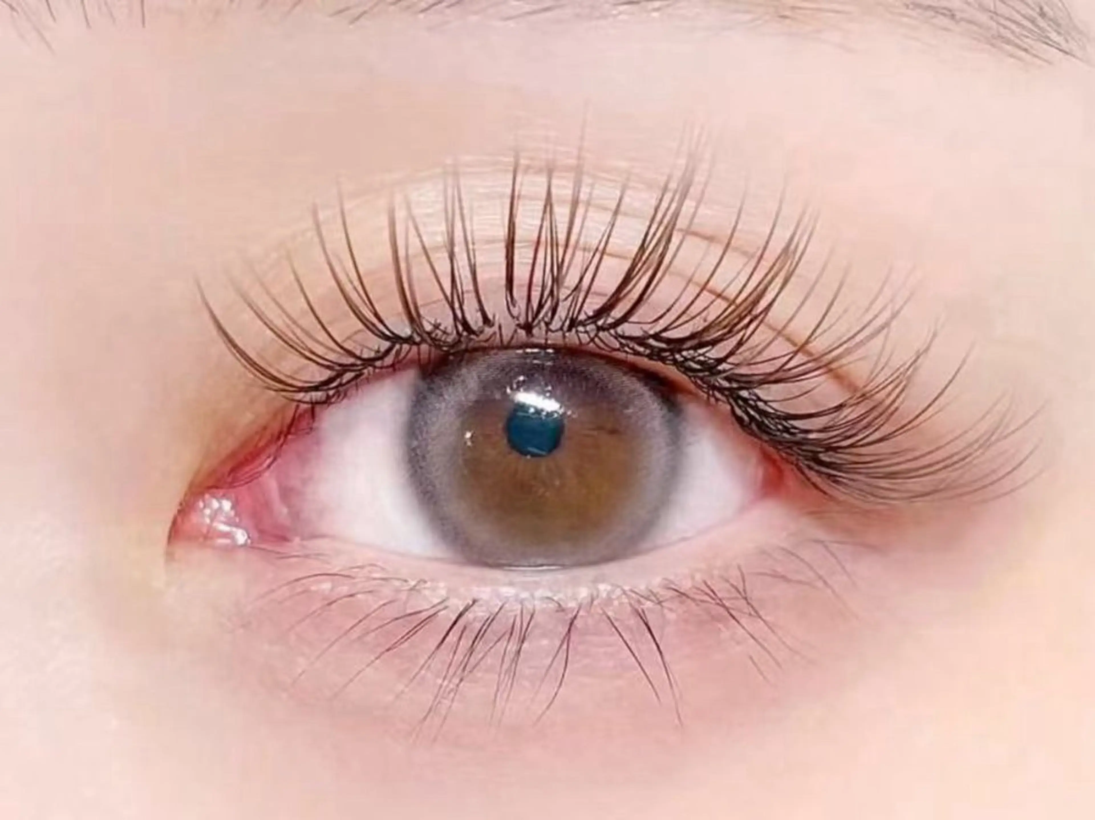 マツエク・マツパ 束感まつ毛 カラーマツエク フラットラッシュ 韓国風マツエク Lカール マツエク ALITA 池袋店✨のマツエク・マツパデザイン