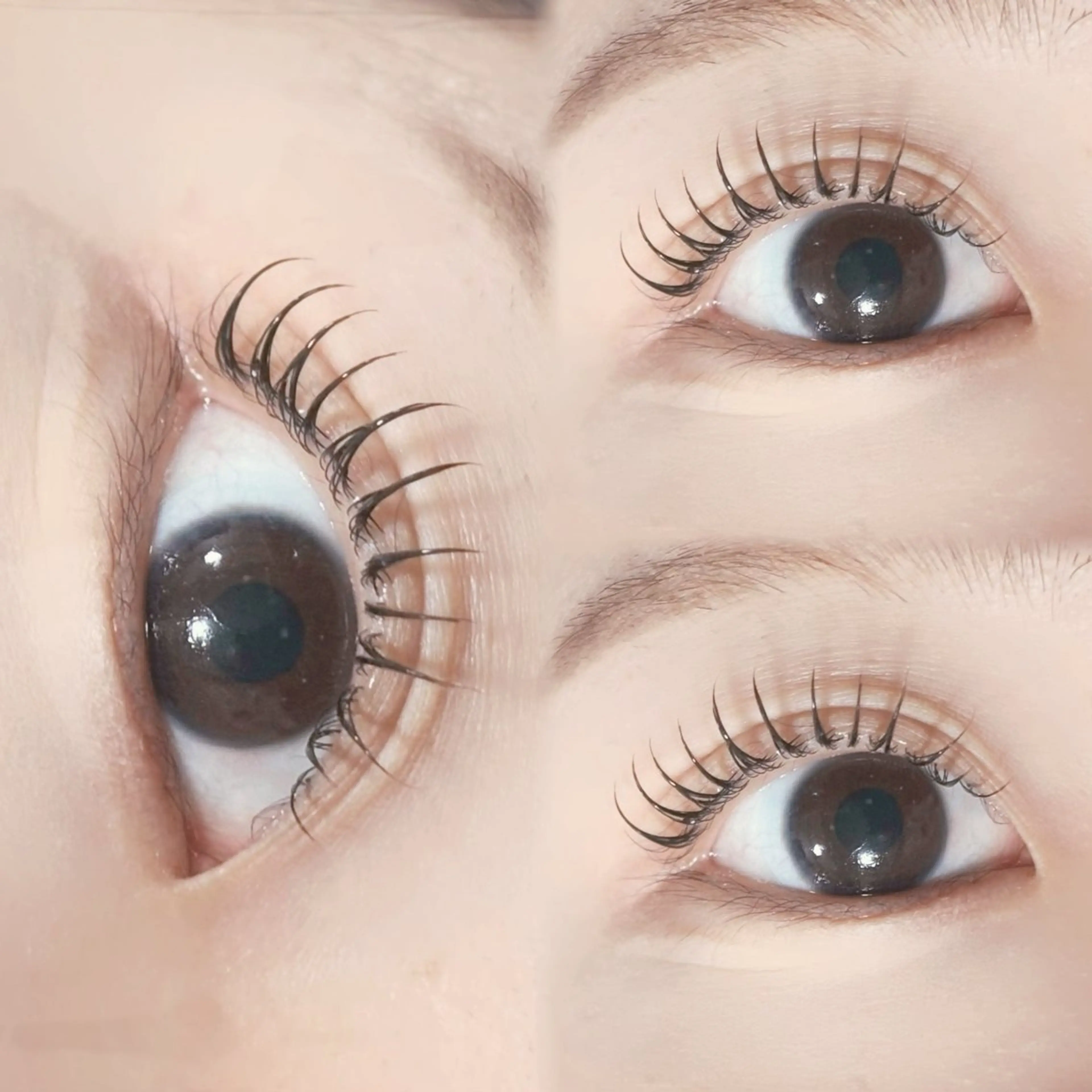 マツエク・マツパ マツパ マリーテレジア ogataのマツエク・マツパデザイン