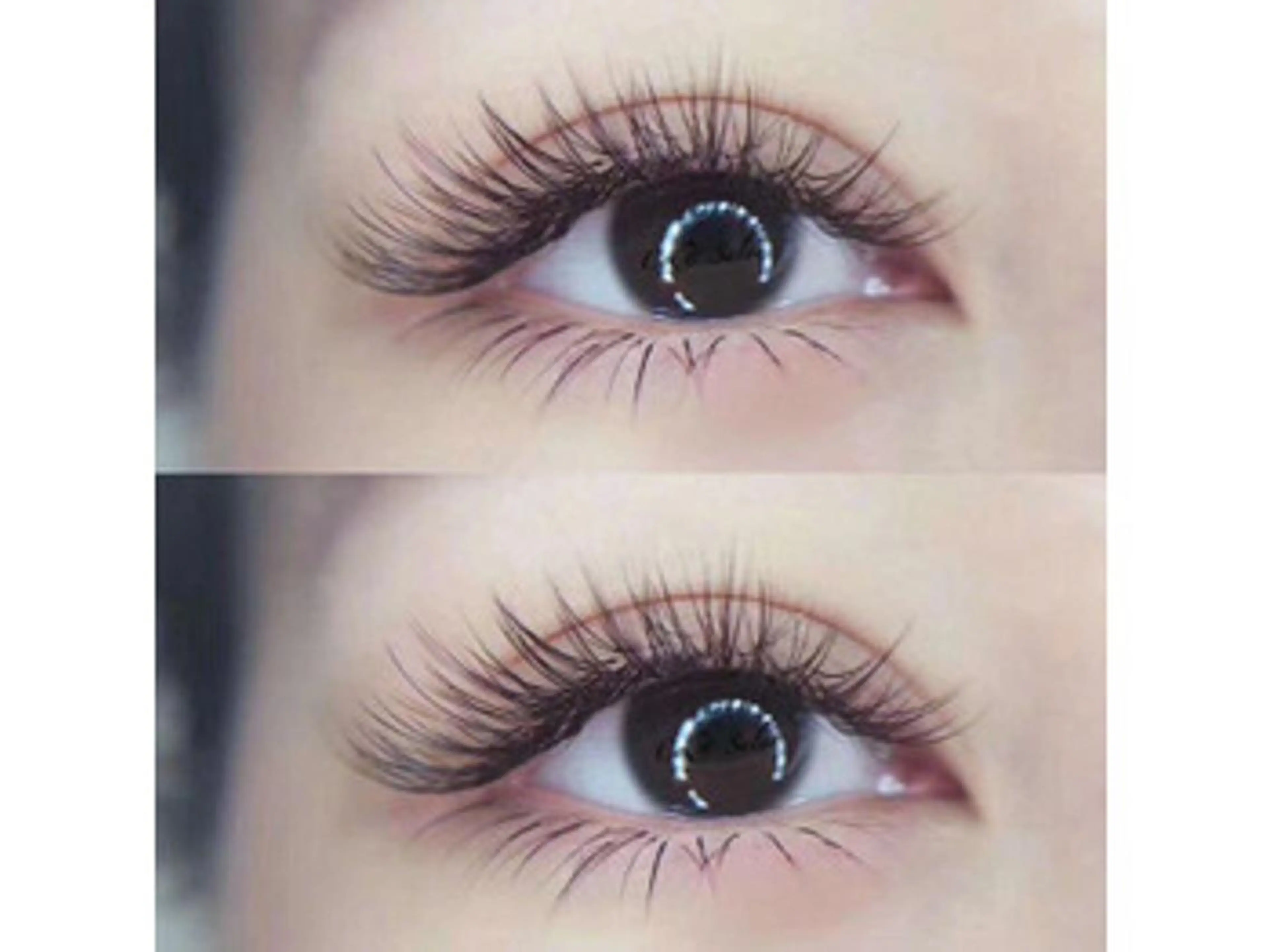 【🉐持ちが良い、仕上がりキレイ】フラットセーブル　つけ放題(本数無制限)の写真